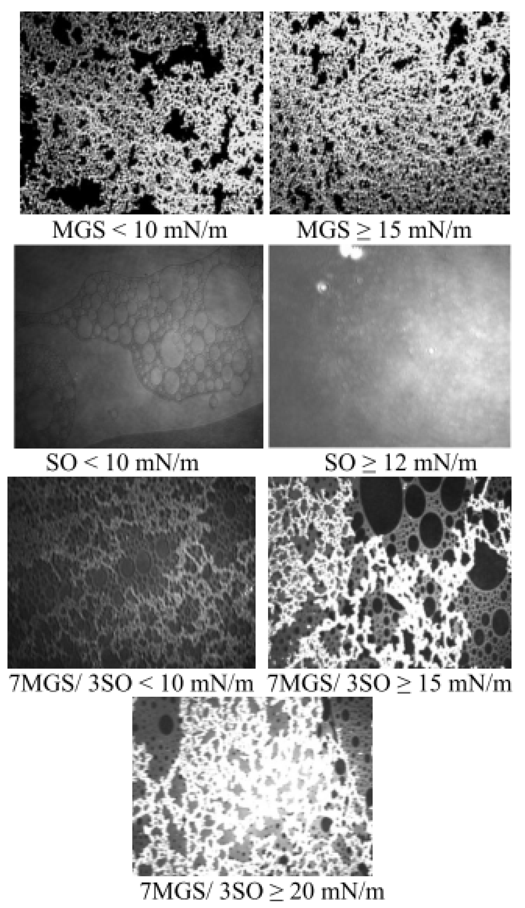 Molecules 27 00464 g002 Molecules 27 00464 g002
