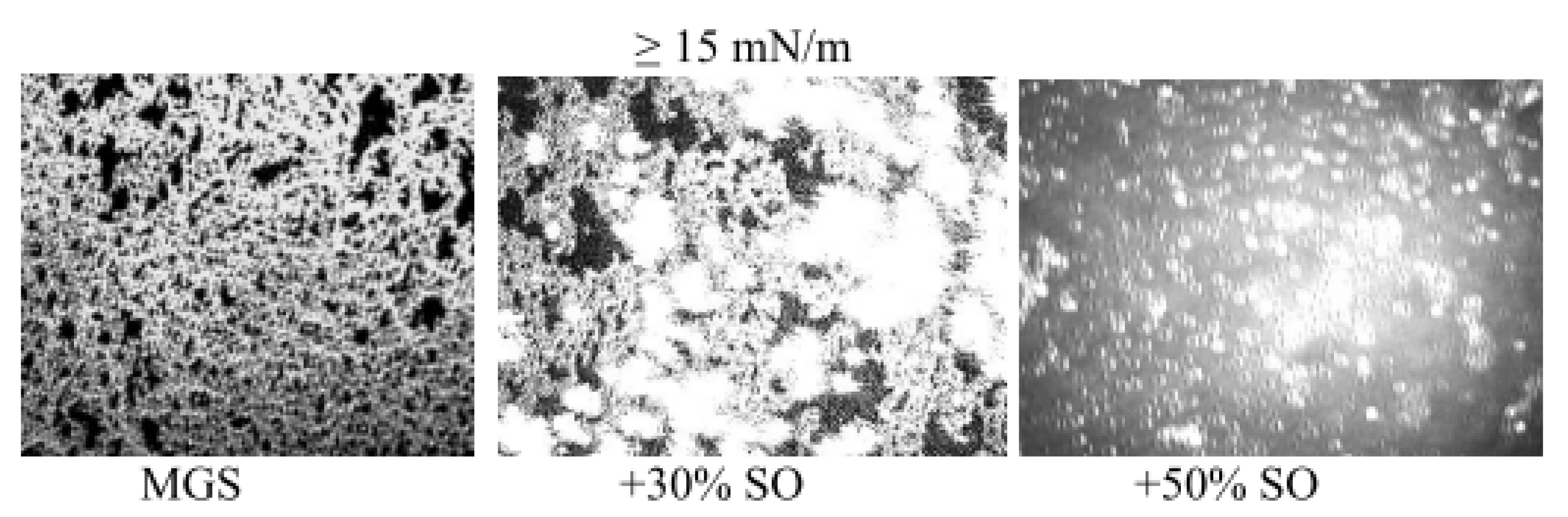 Molecules 27 00464 g005 Molecules 27 00464 g005