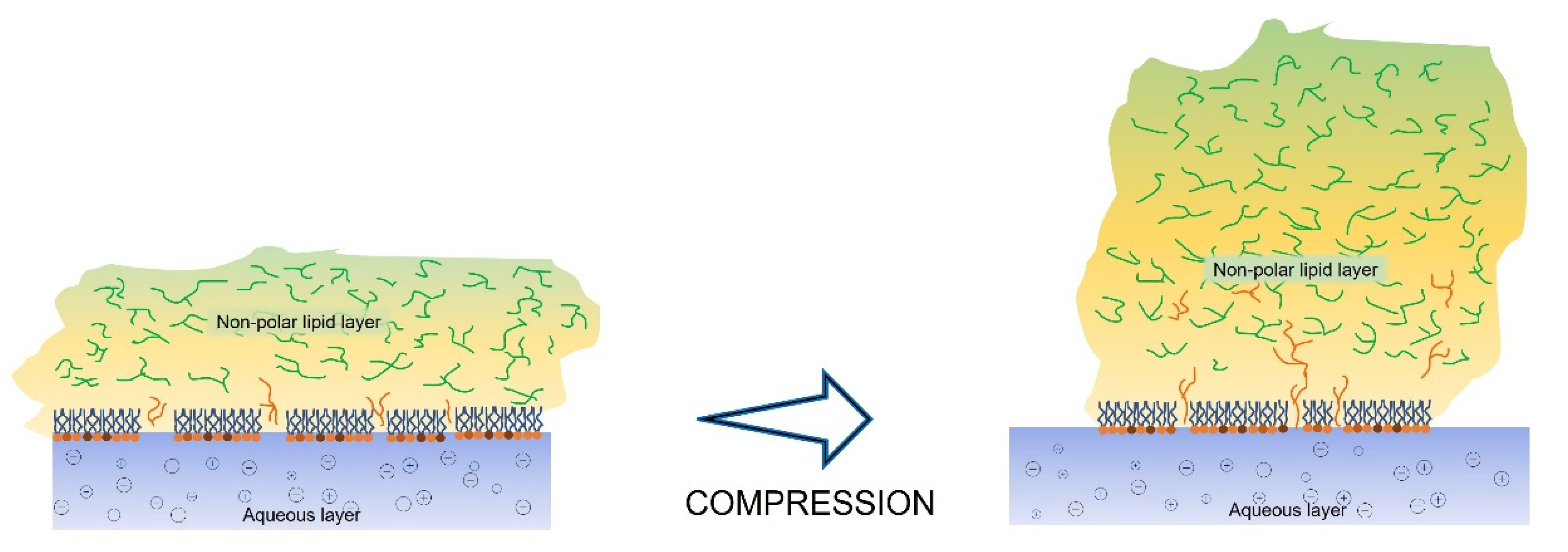Molecules 27 00464 g007 Molecules 27 00464 g007