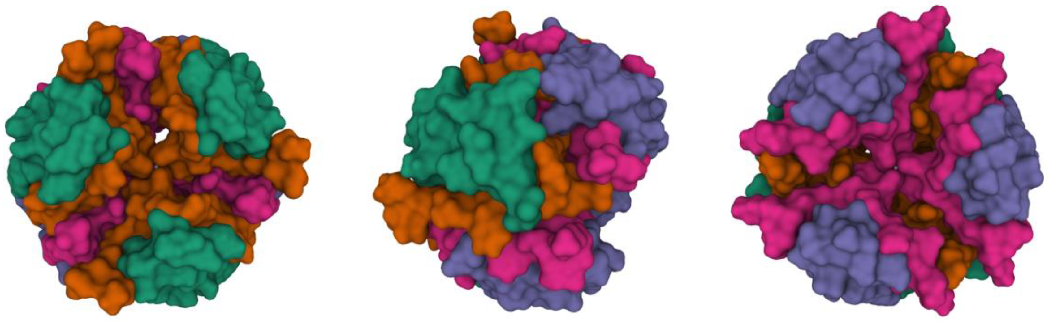 Molecules 27 00465 g002