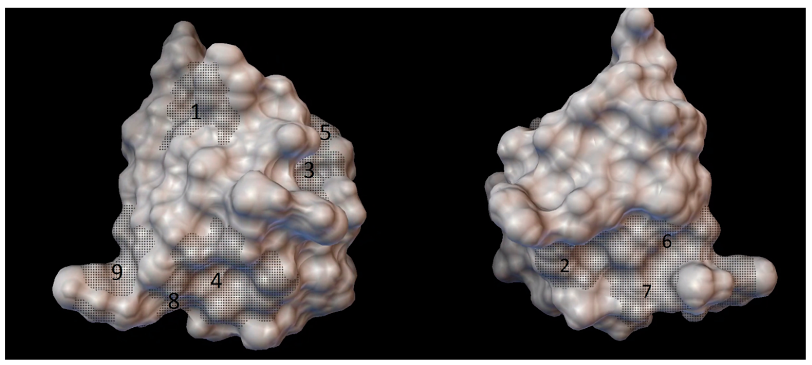 Molecules 27 00465 g003