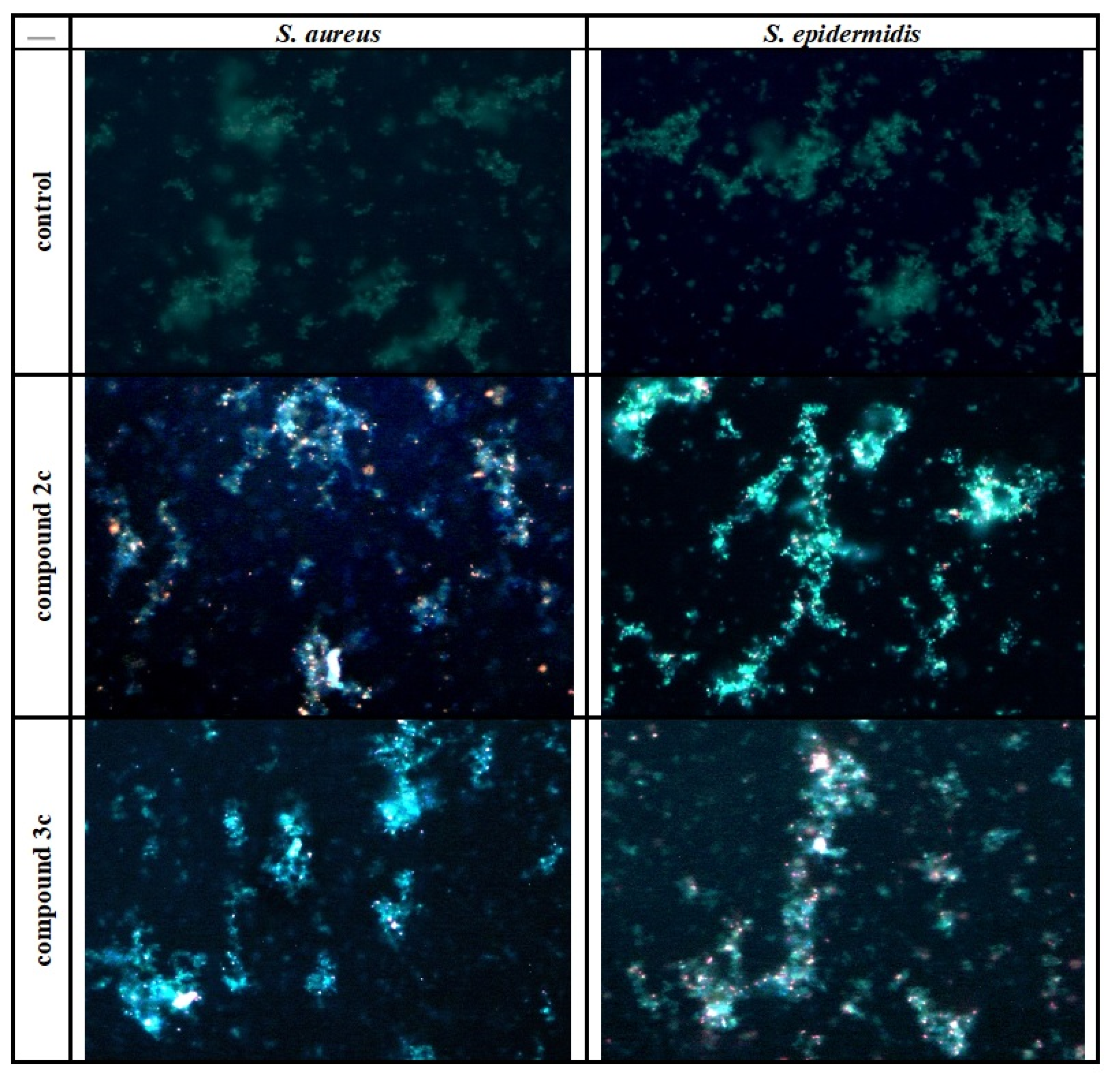 Molecules 27 00468 g003
