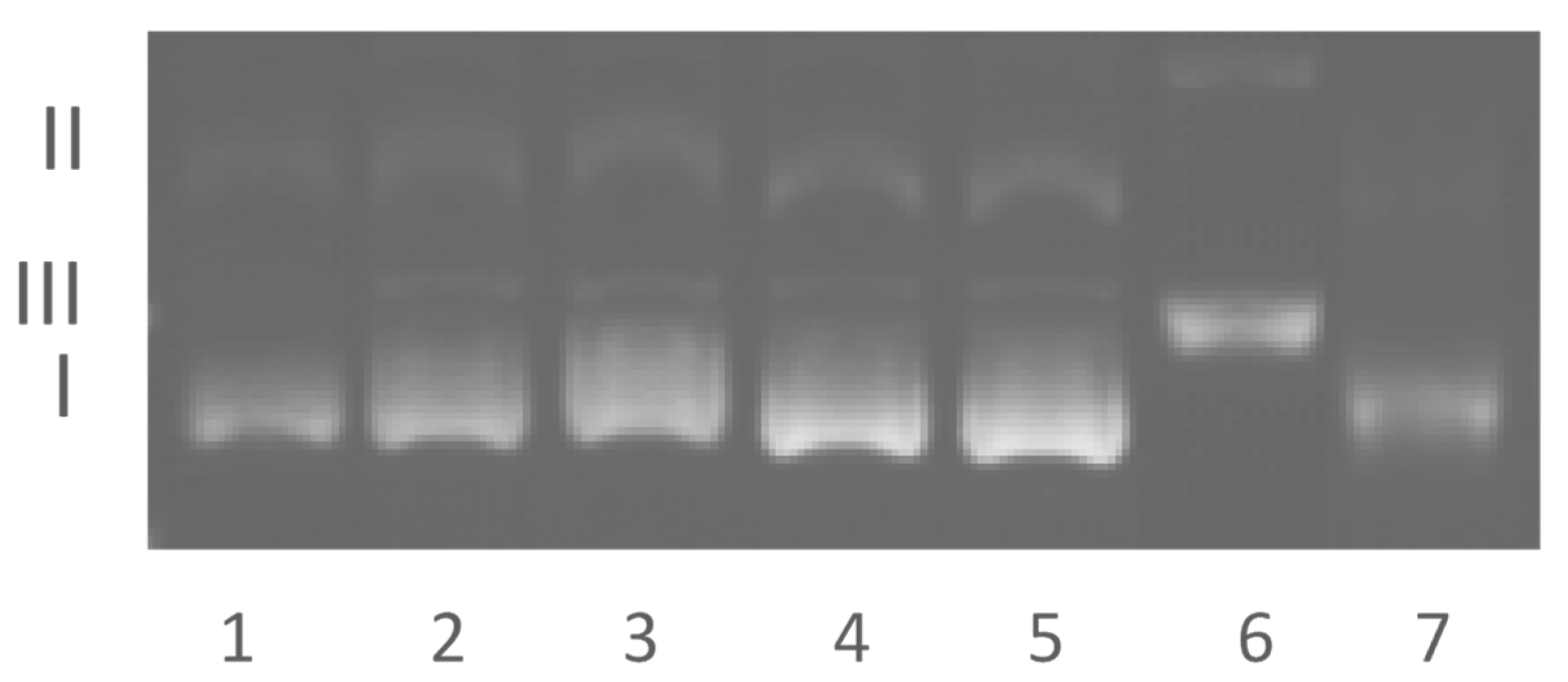 Molecules 27 00468 g004