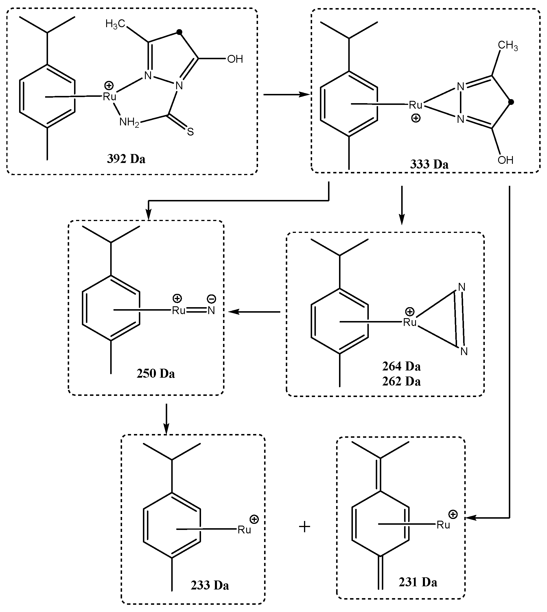 Molecules 27 00468 sch003