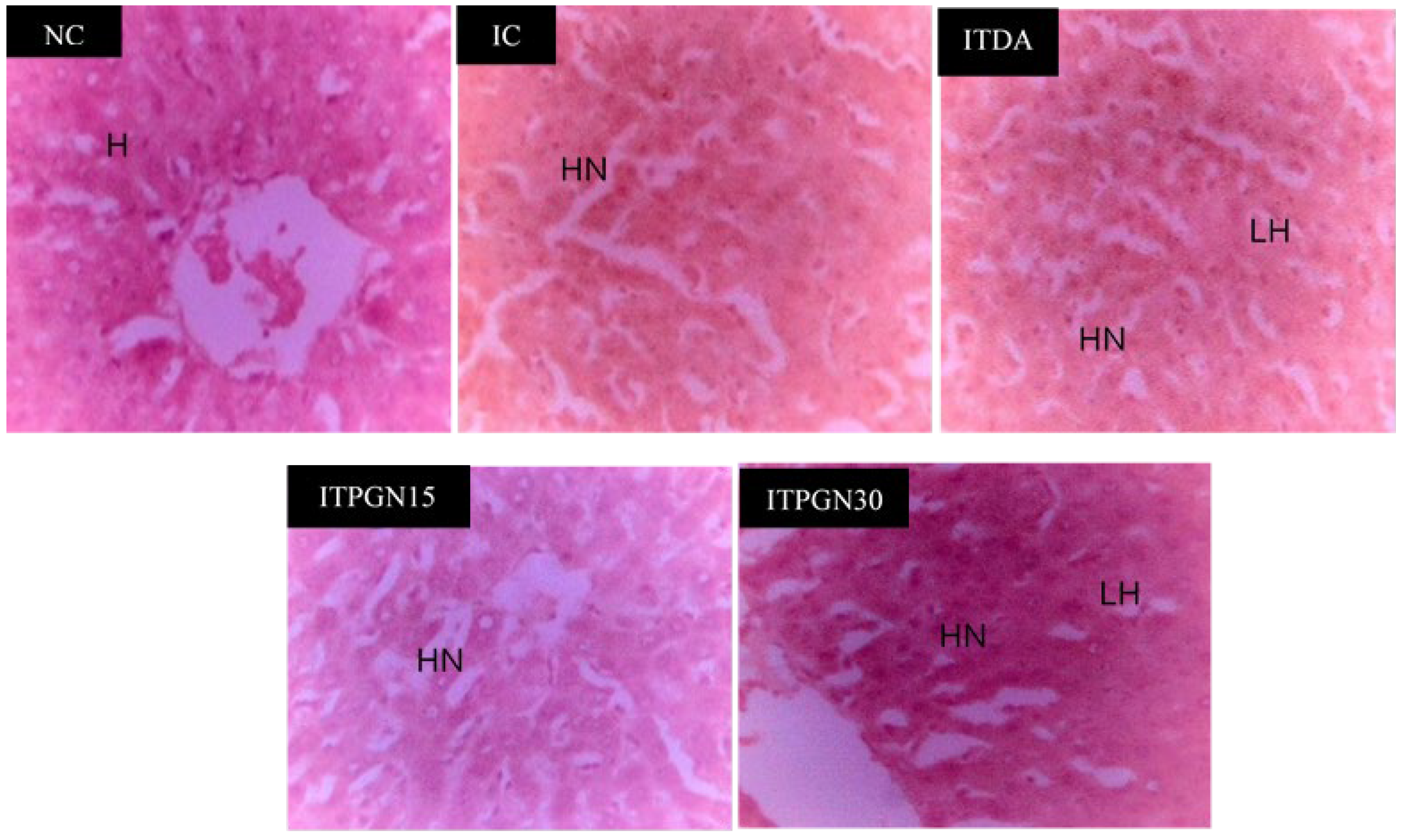 Molecules 27 00469 g005 Molecules 27 00469 g005