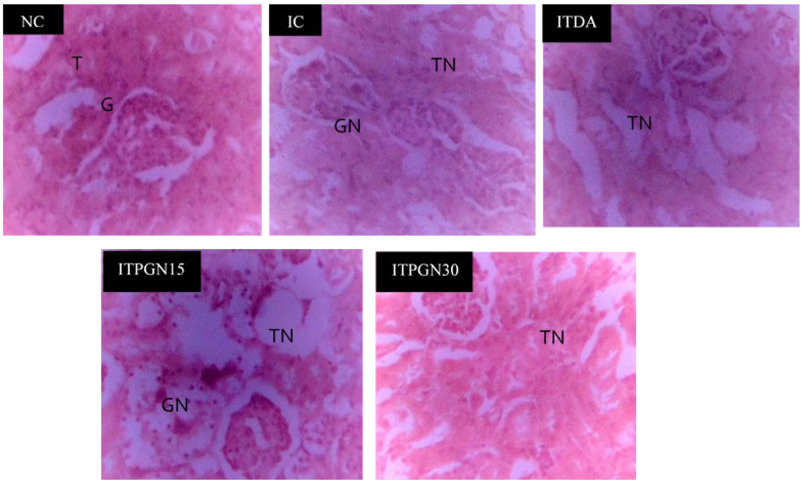 Molecules 27 00469 g006 Molecules 27 00469 g006