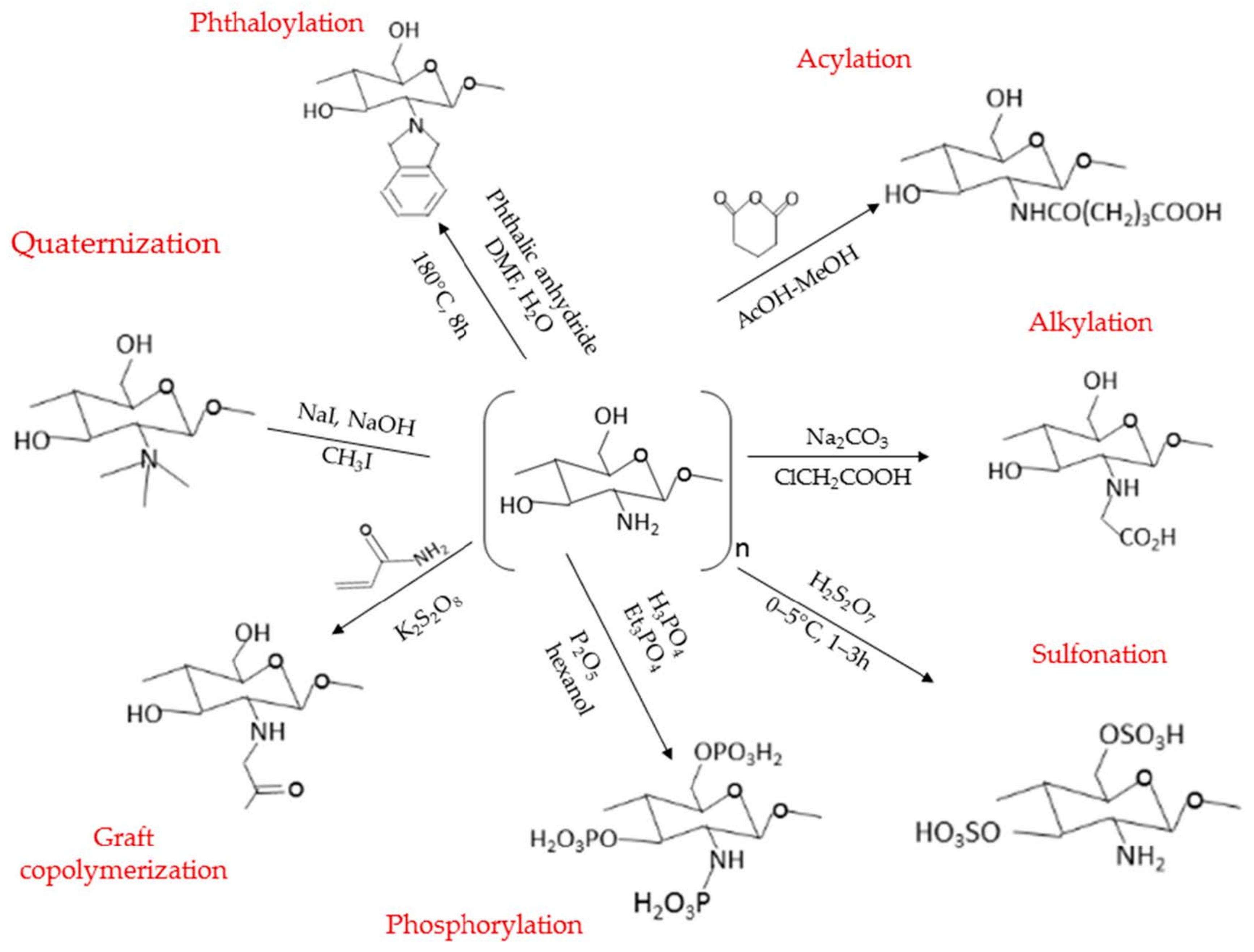 Molecules 27 00473 g002