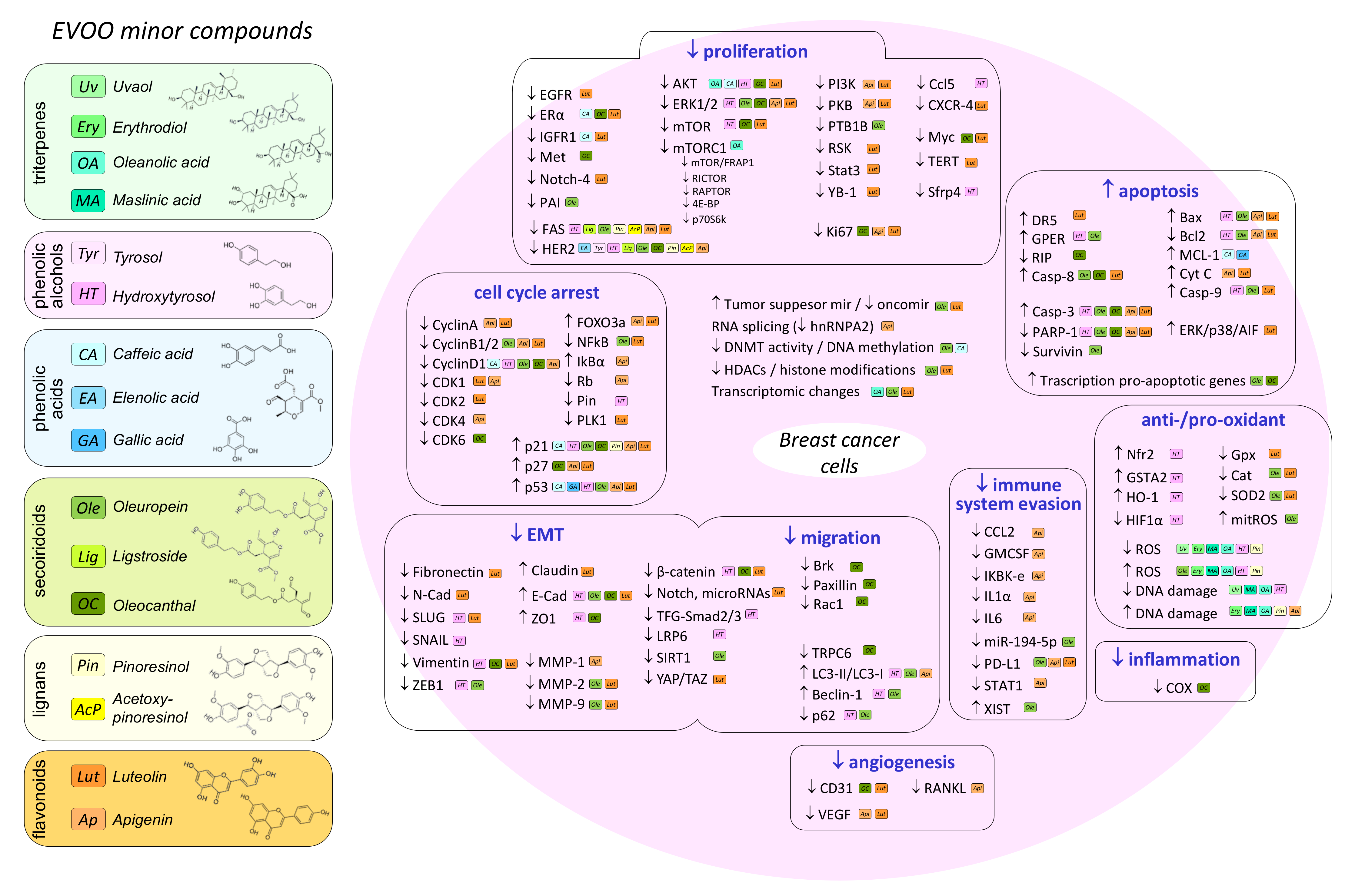 Molecules 27 00477 g002