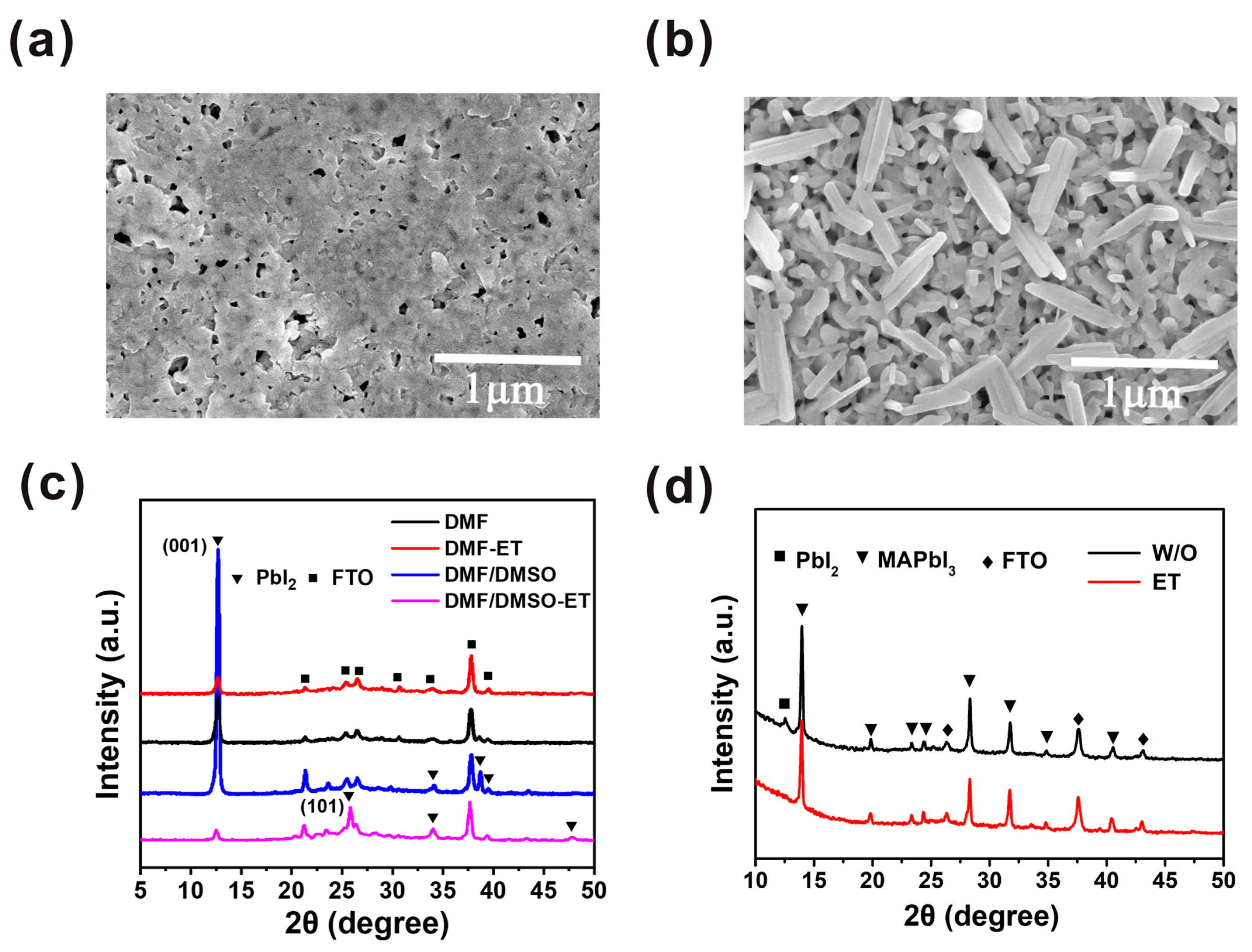 Molecules 27 00481 g003