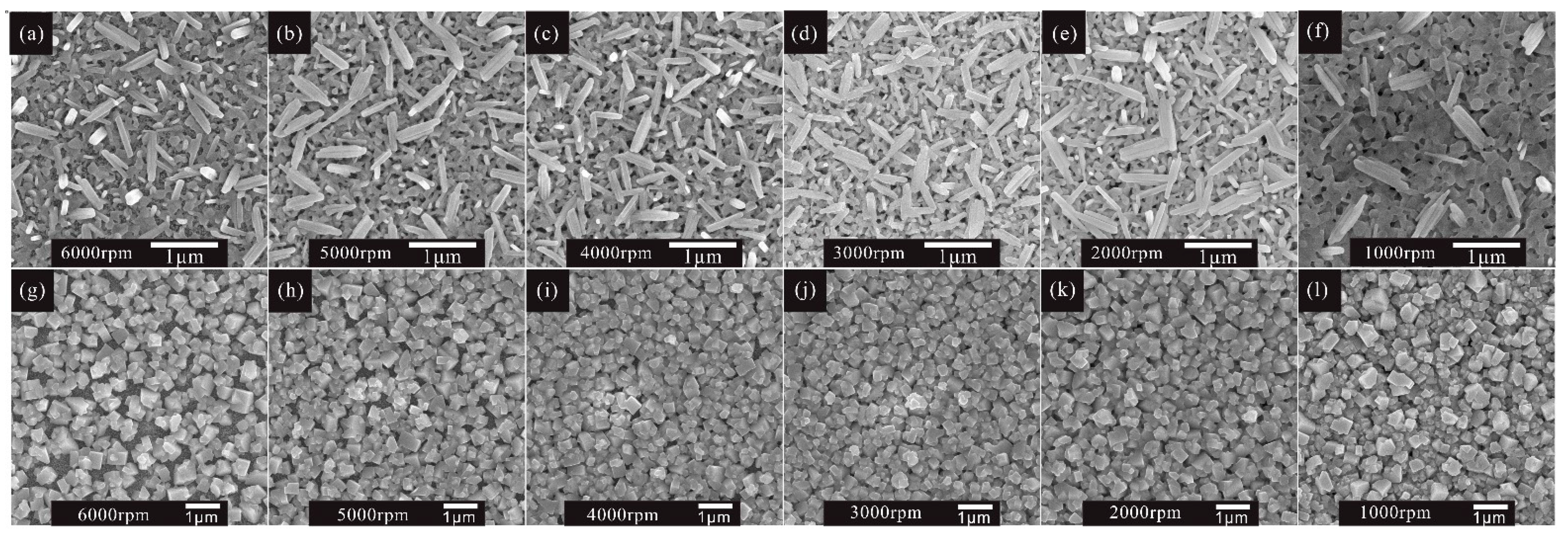 Molecules 27 00481 g004