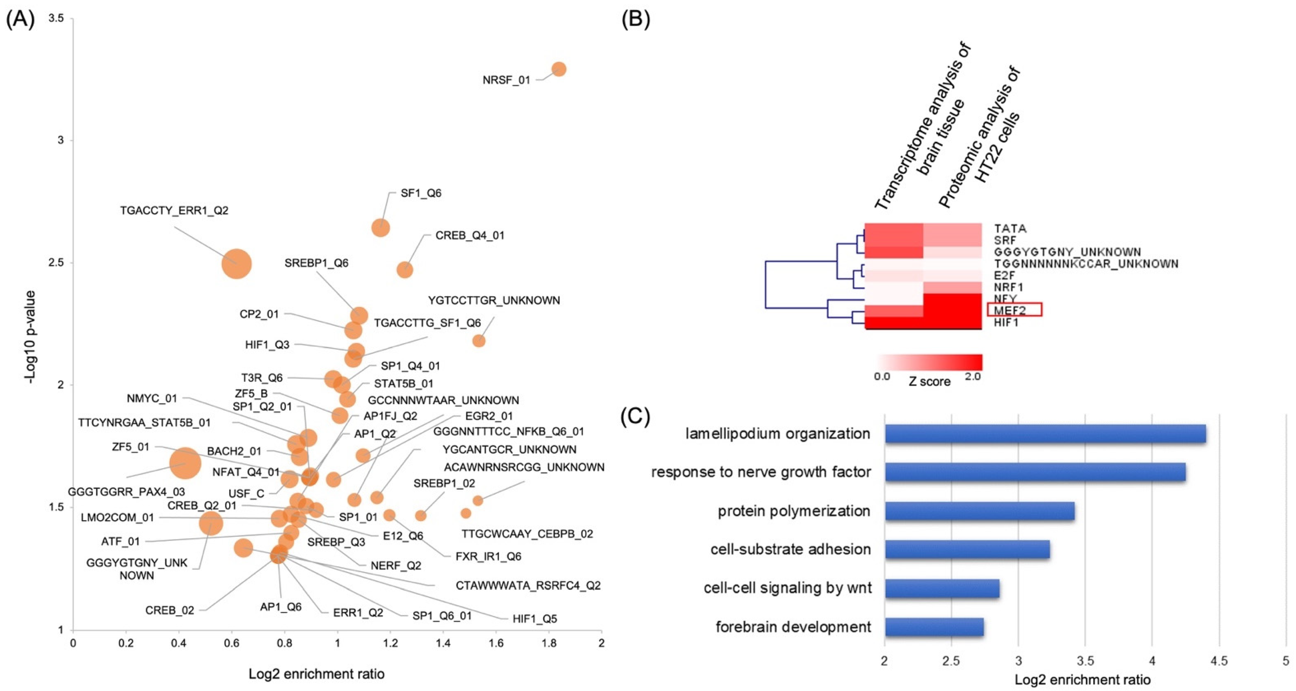 Molecules 27 00484 g006