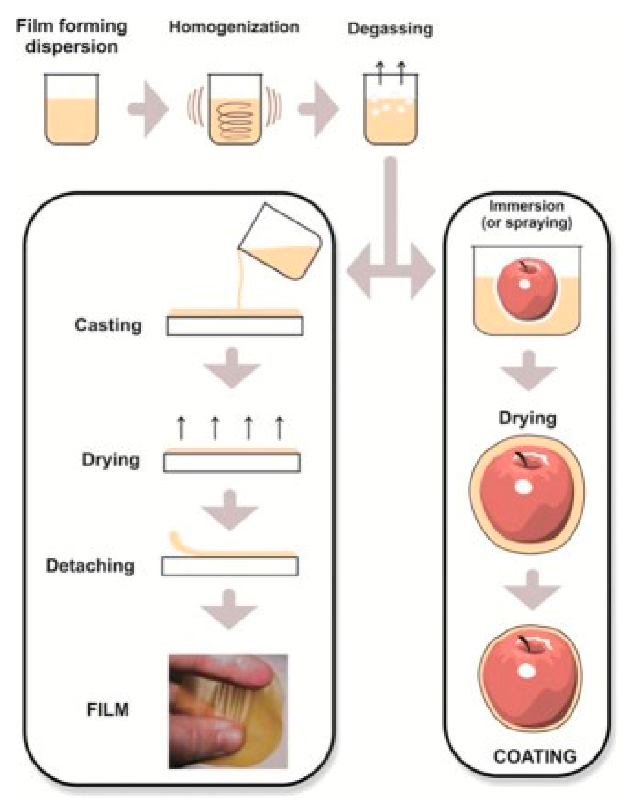 Molecules 27 00486 g001