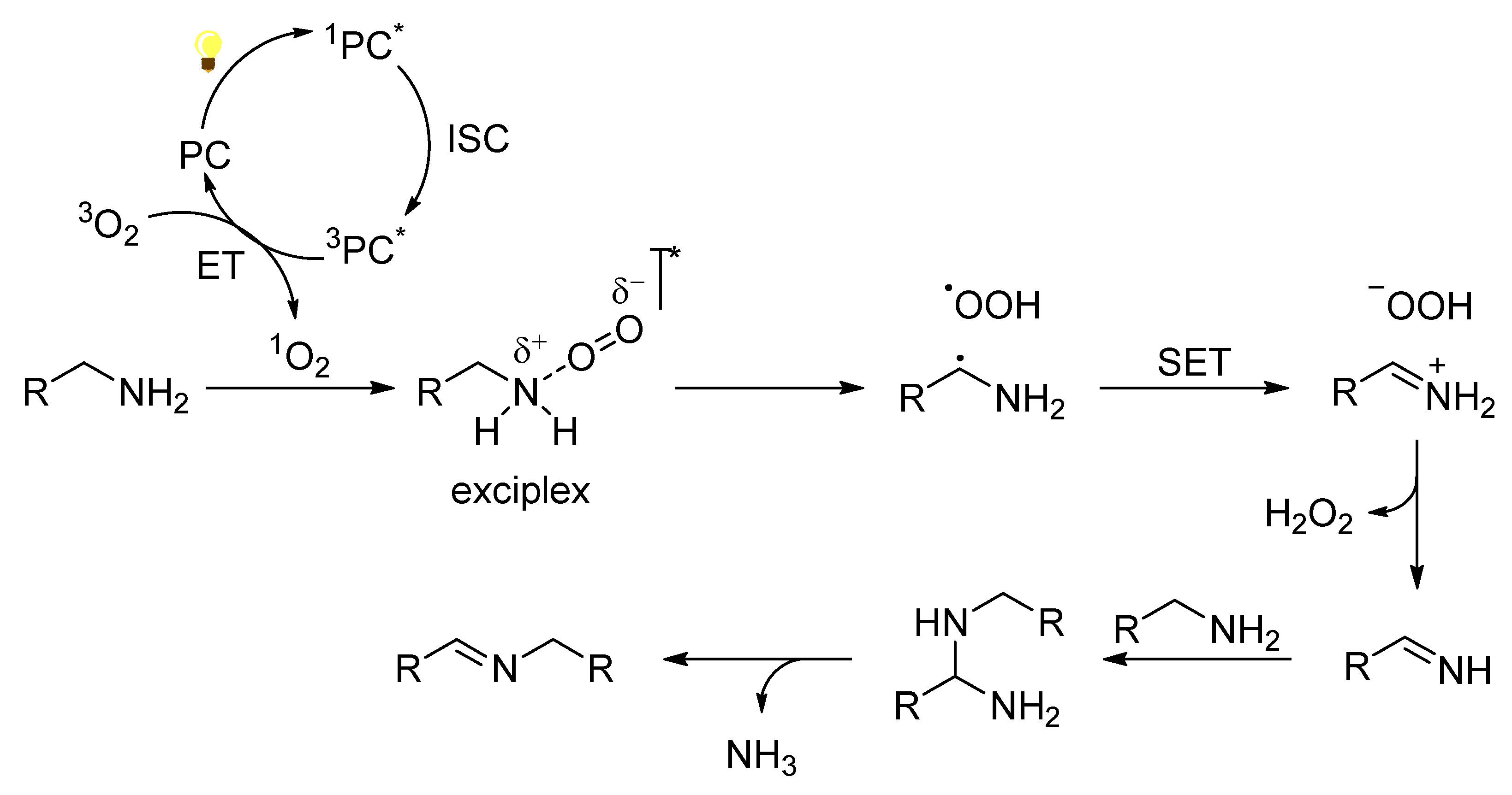 Molecules 27 00497 sch001