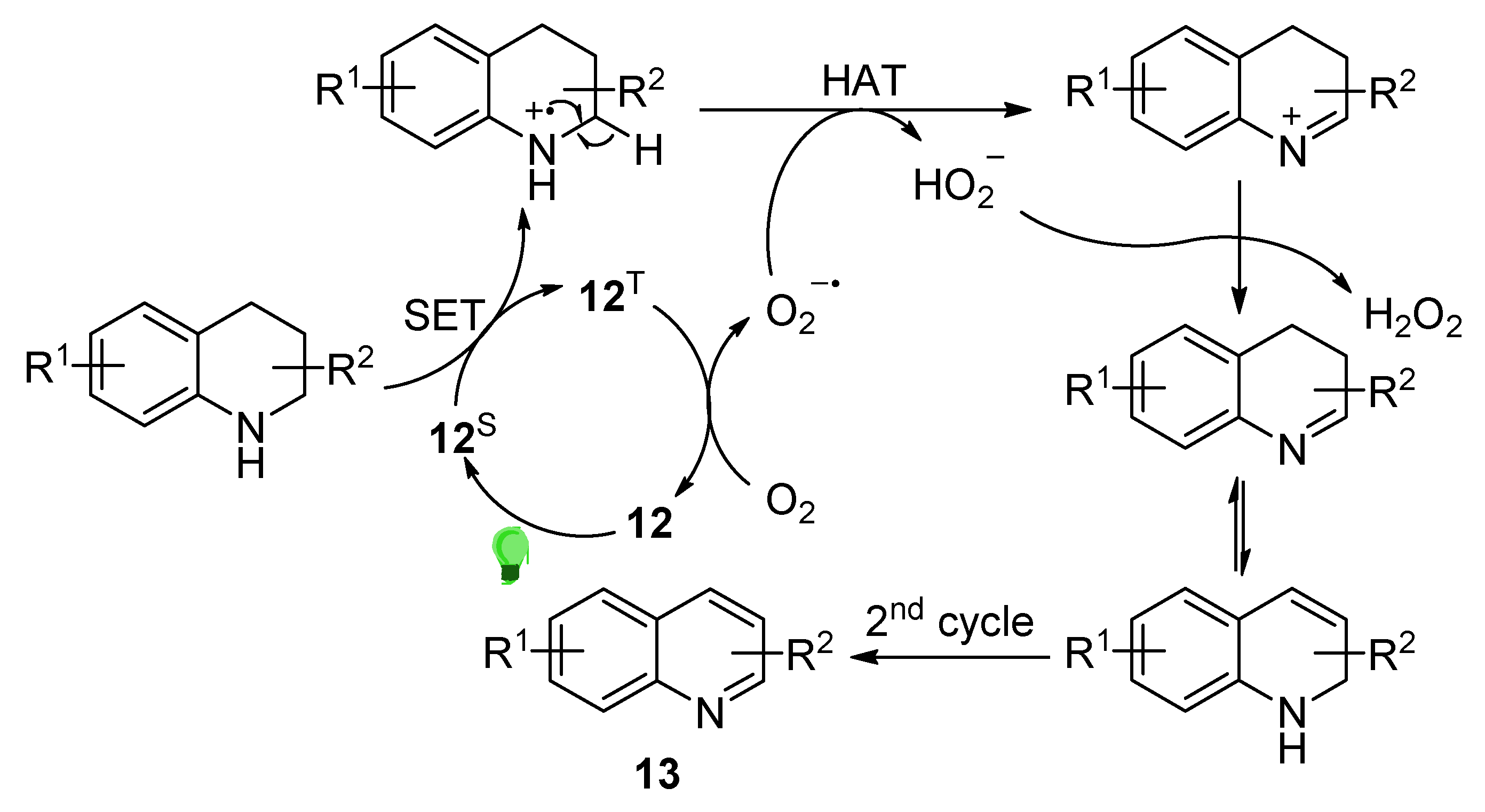 Molecules 27 00497 sch008