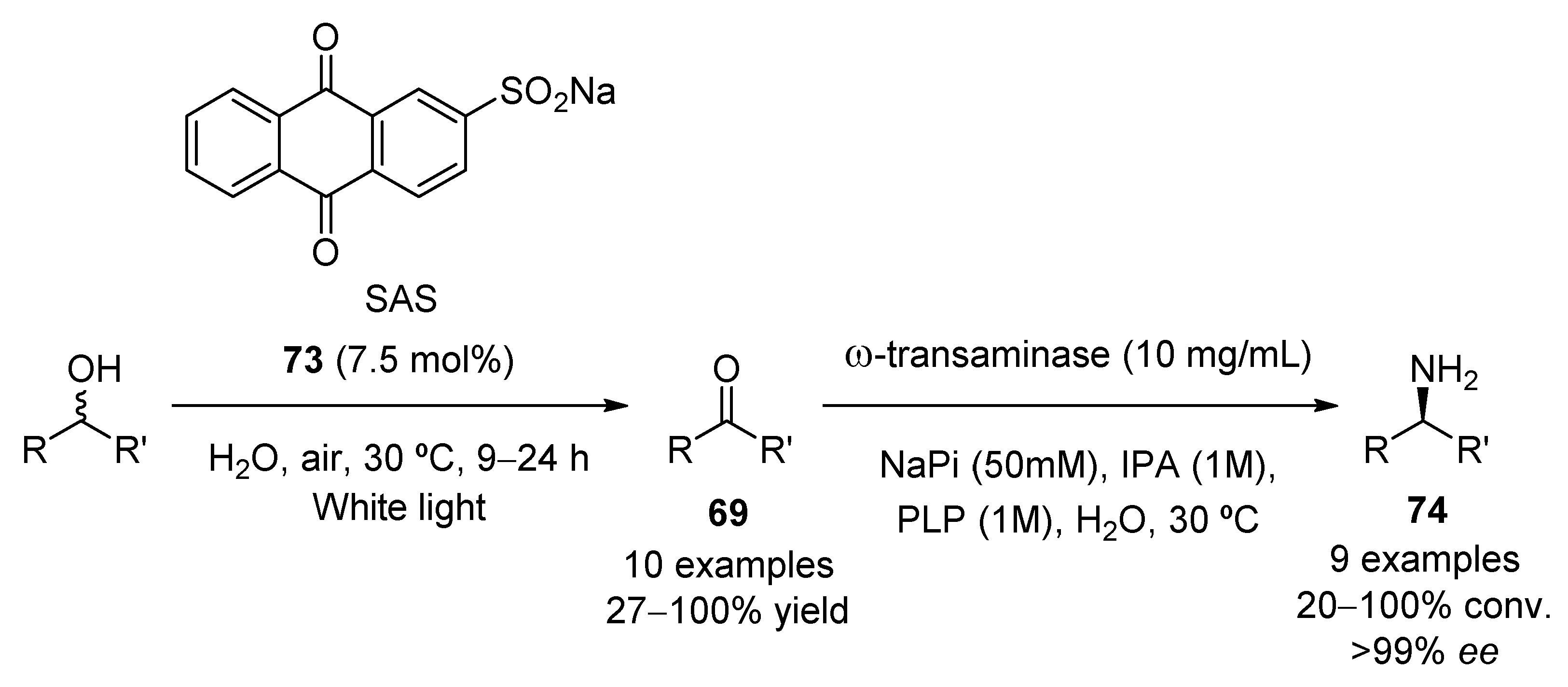 Molecules 27 00497 sch019