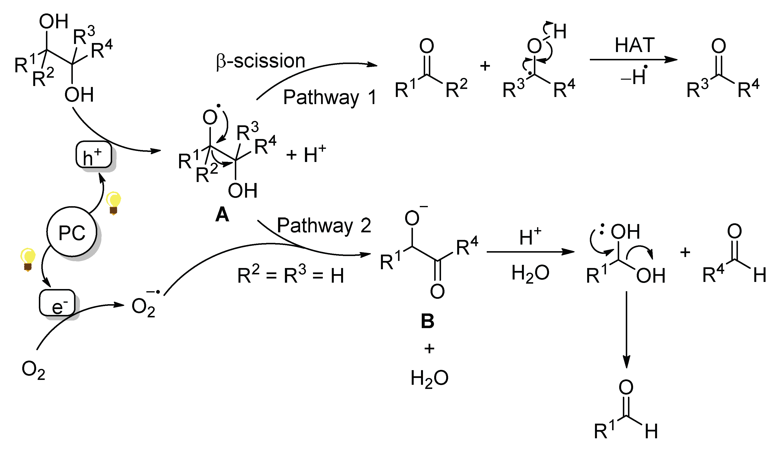 Molecules 27 00497 sch028