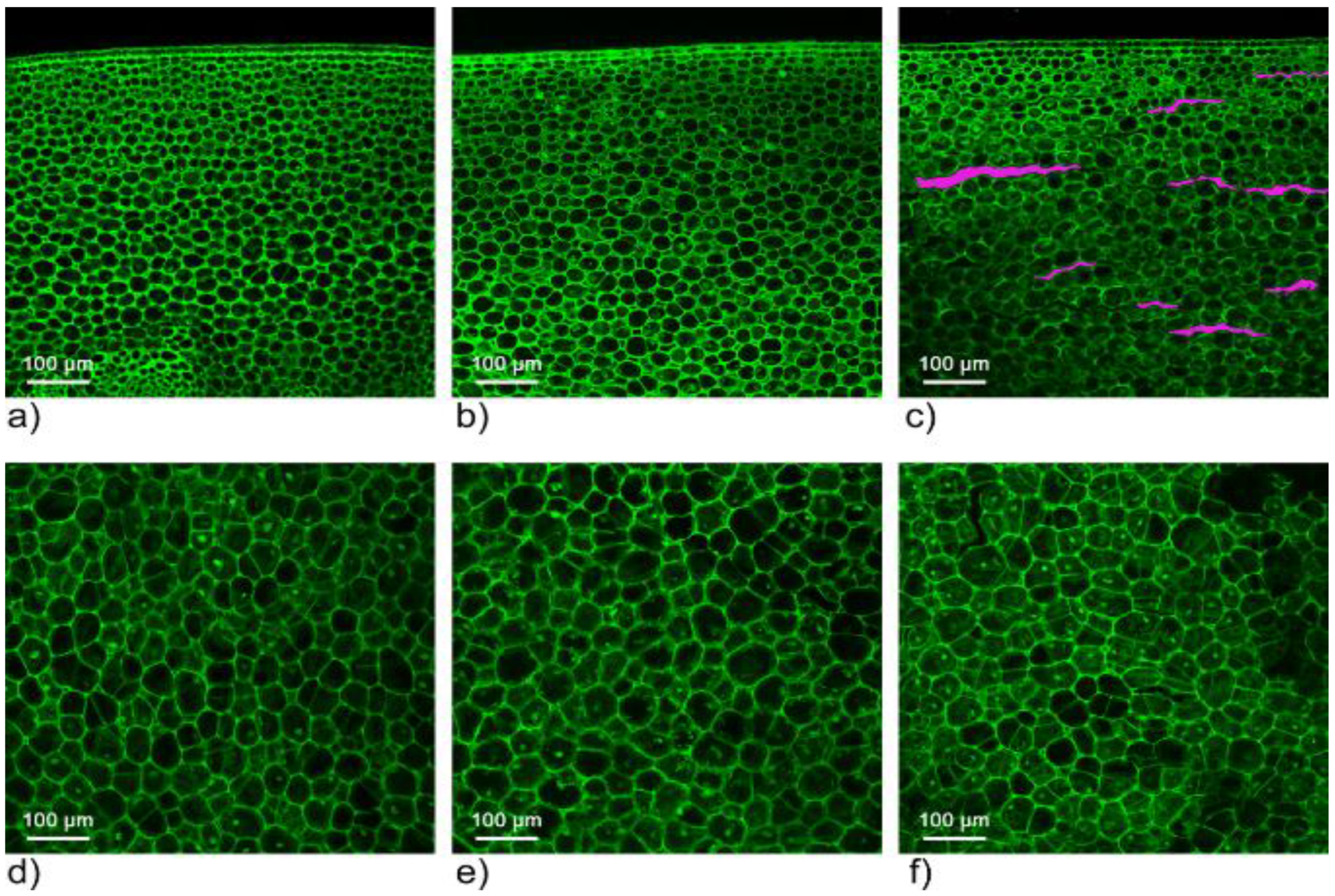 Molecules 27 00500 g002