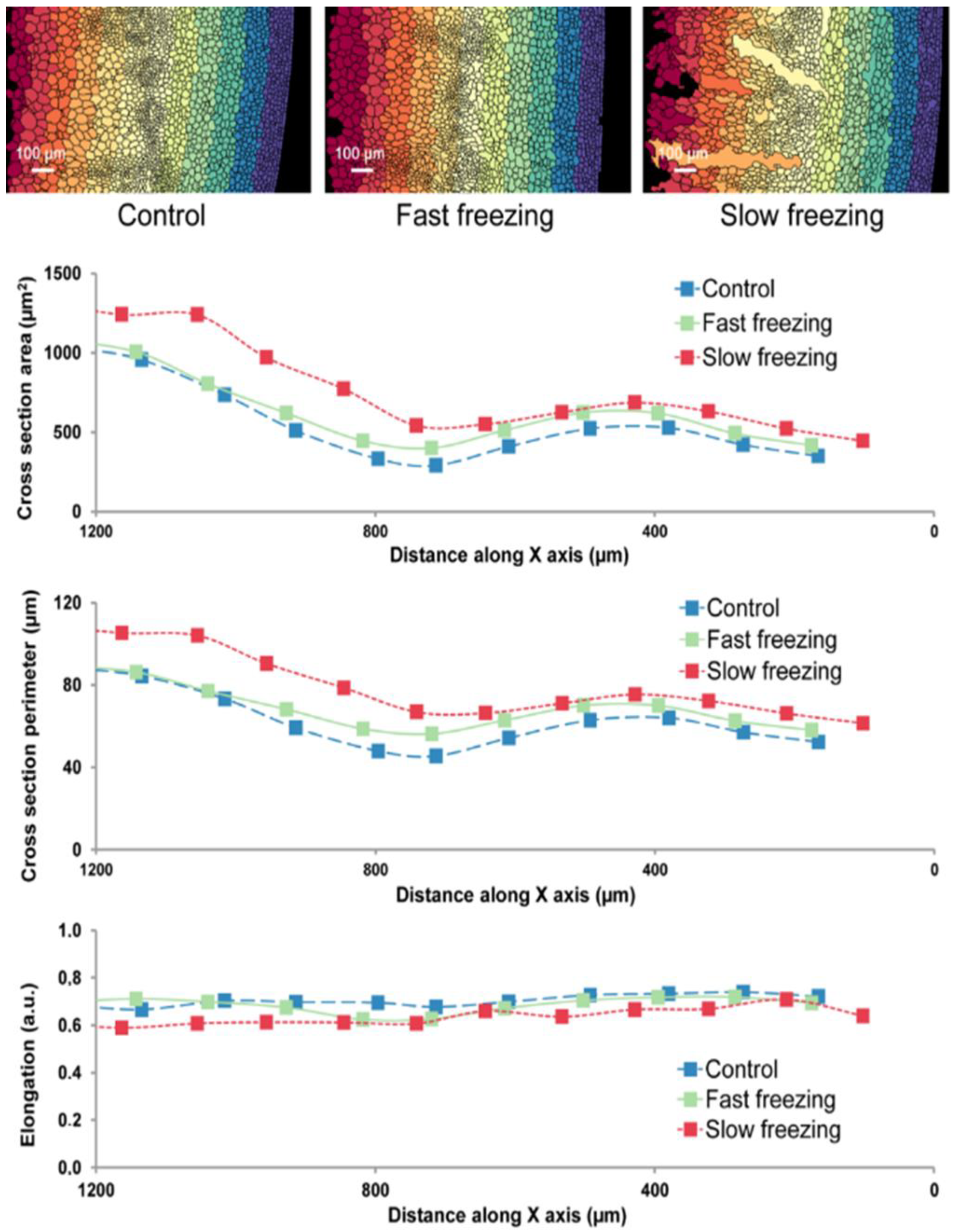 Molecules 27 00500 g003