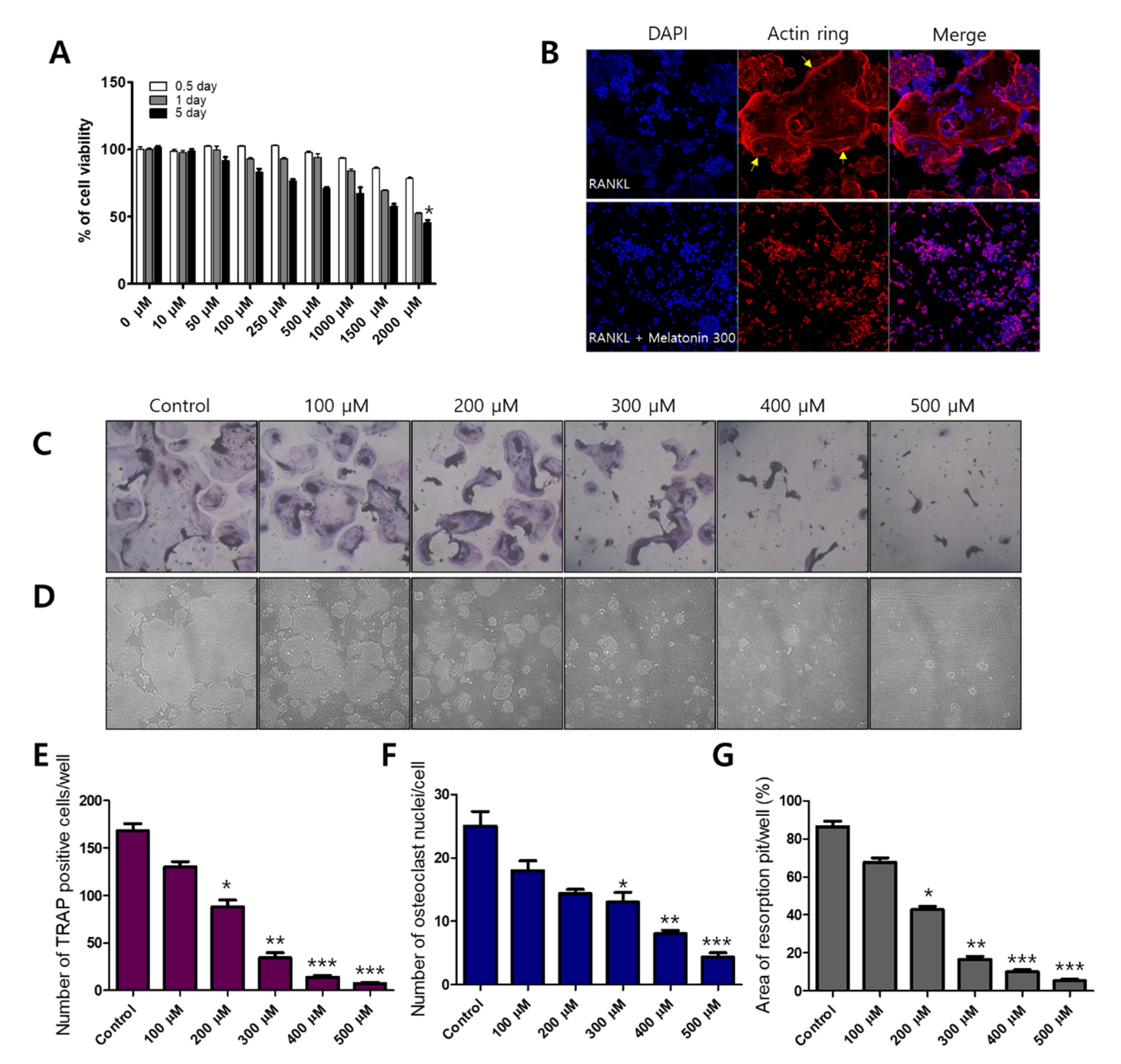 Molecules 27 00501 g001