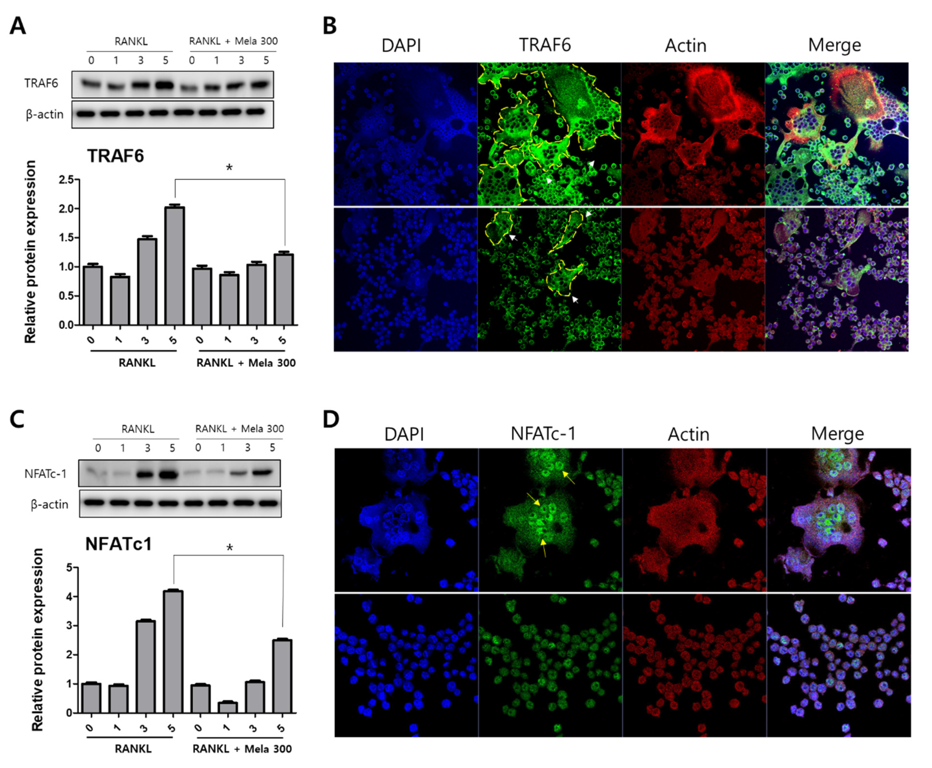 Molecules 27 00501 g003