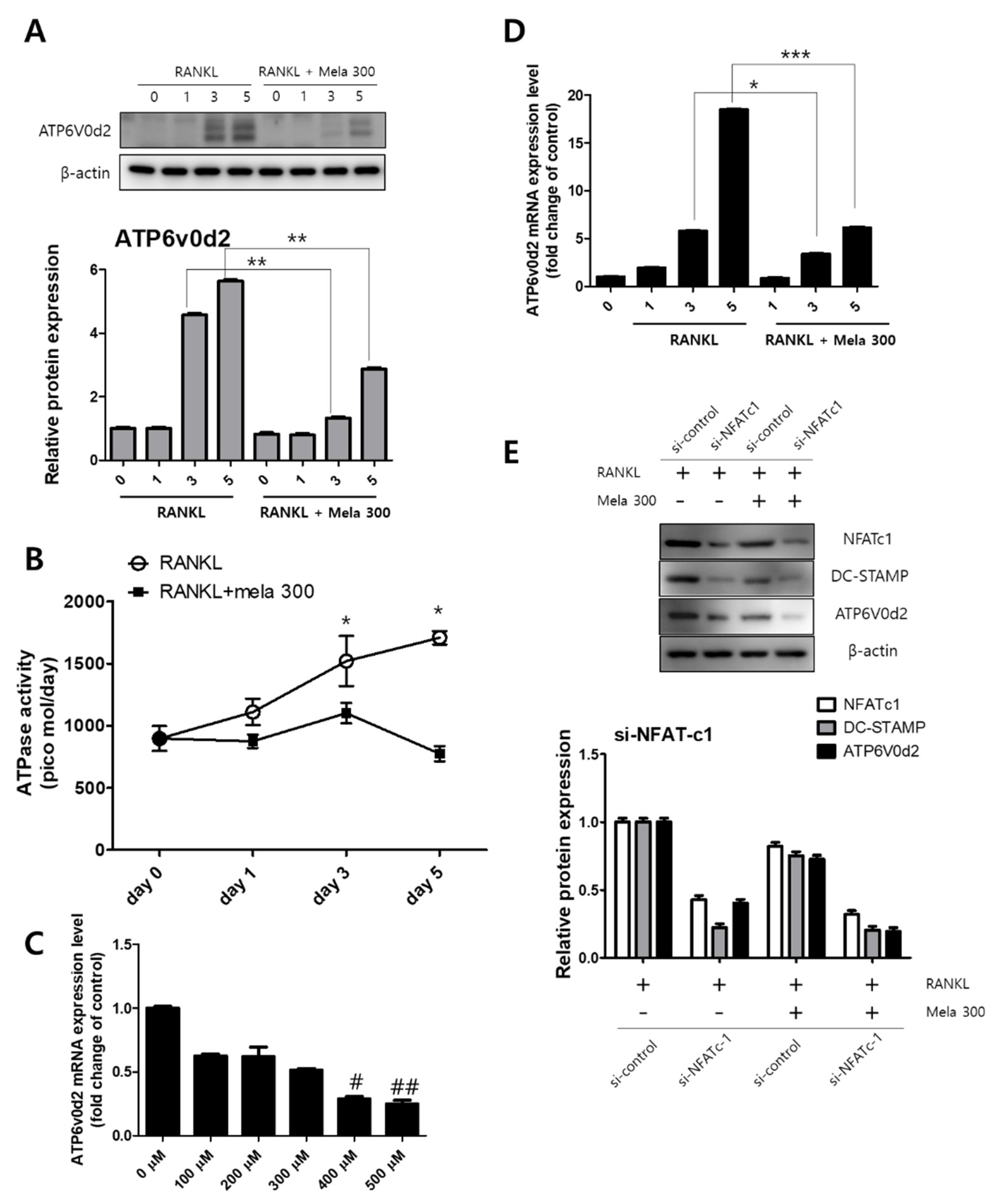 Molecules 27 00501 g005