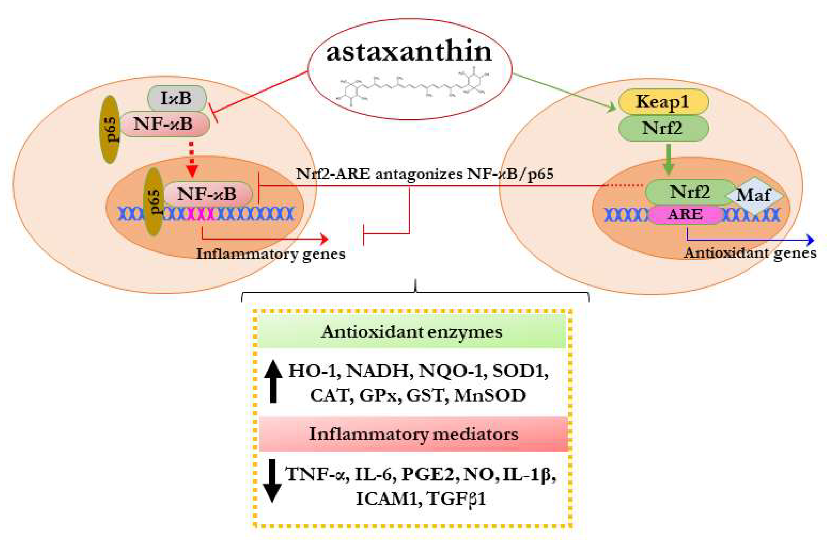 Molecules 27 00502 g002