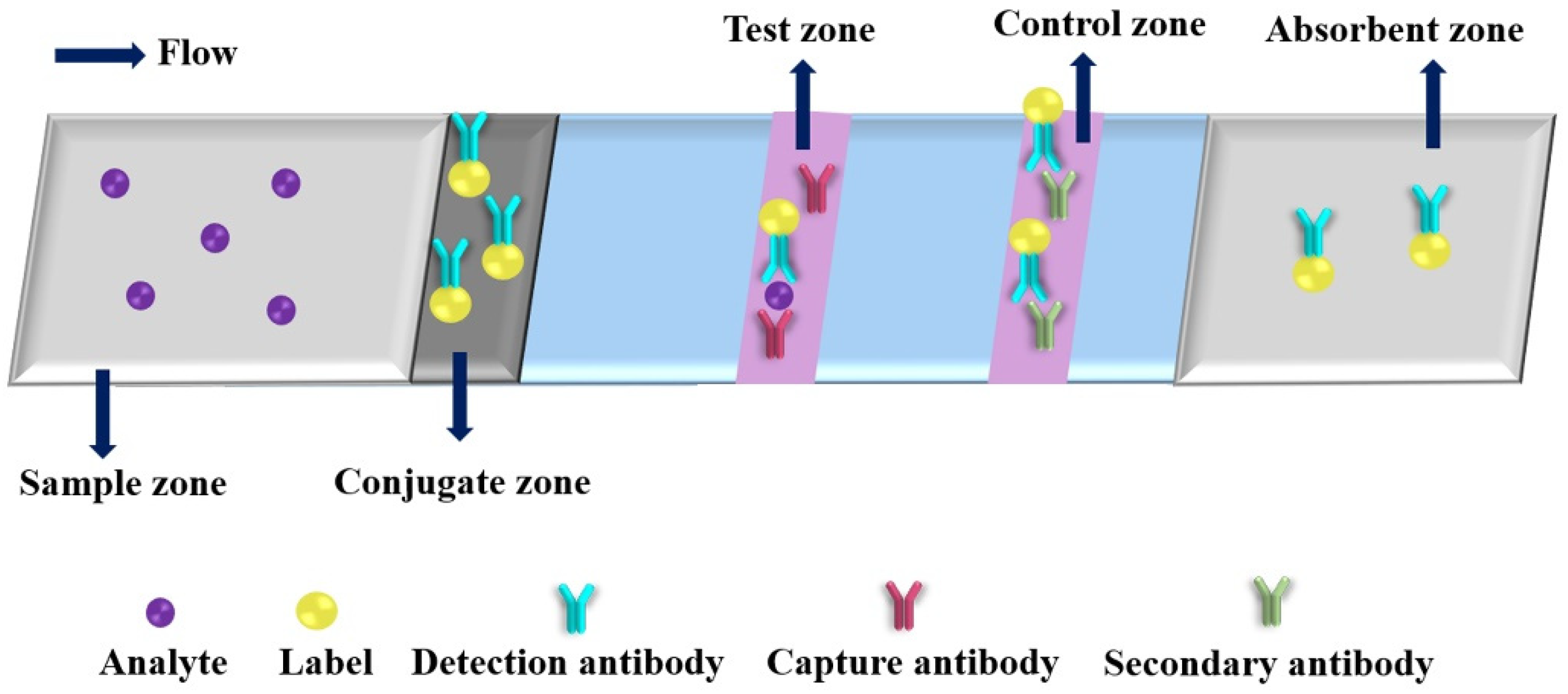Molecules 27 00508 g004
