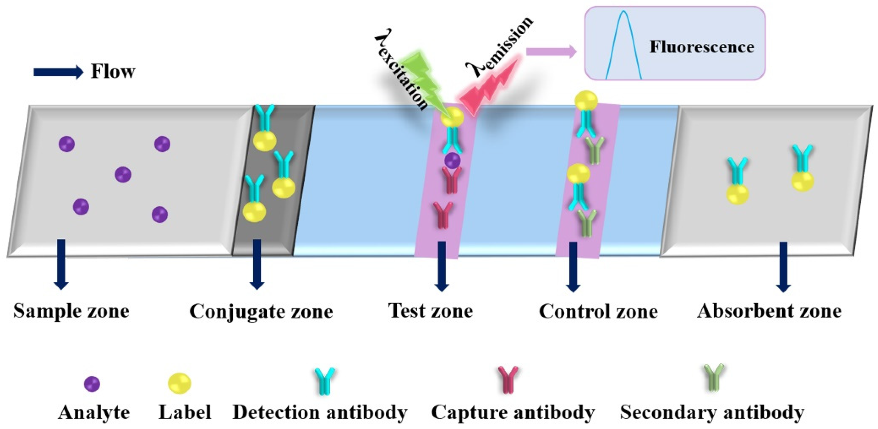 Molecules 27 00508 g005