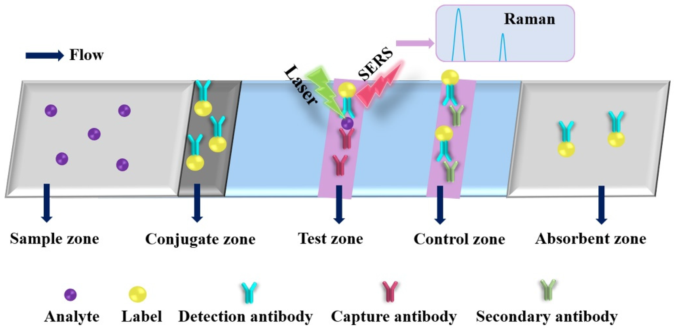 Molecules 27 00508 g006