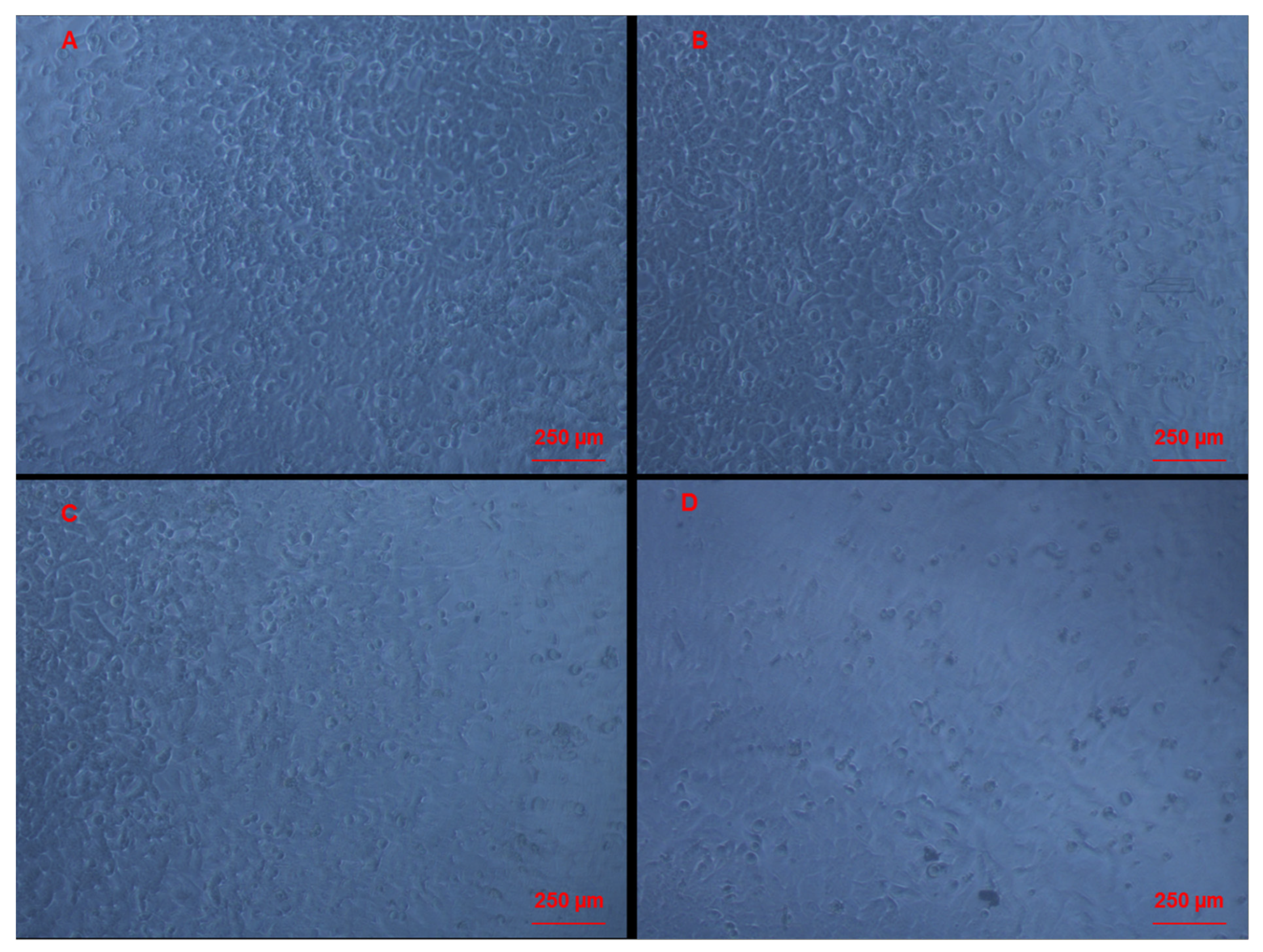 Molecules 27 00510 g004