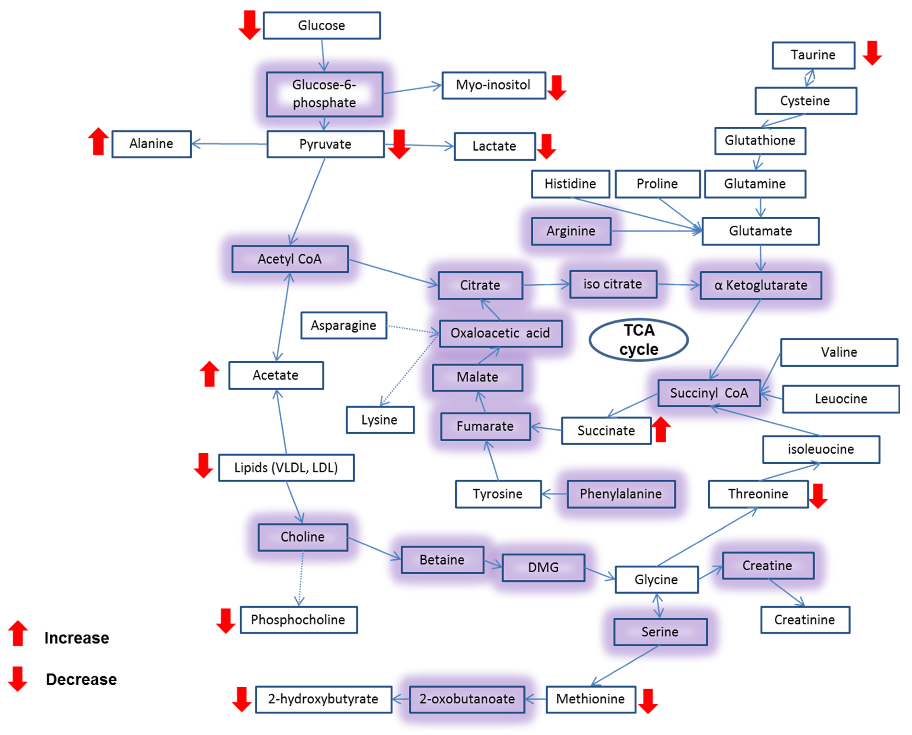 Molecules 27 00510 g008