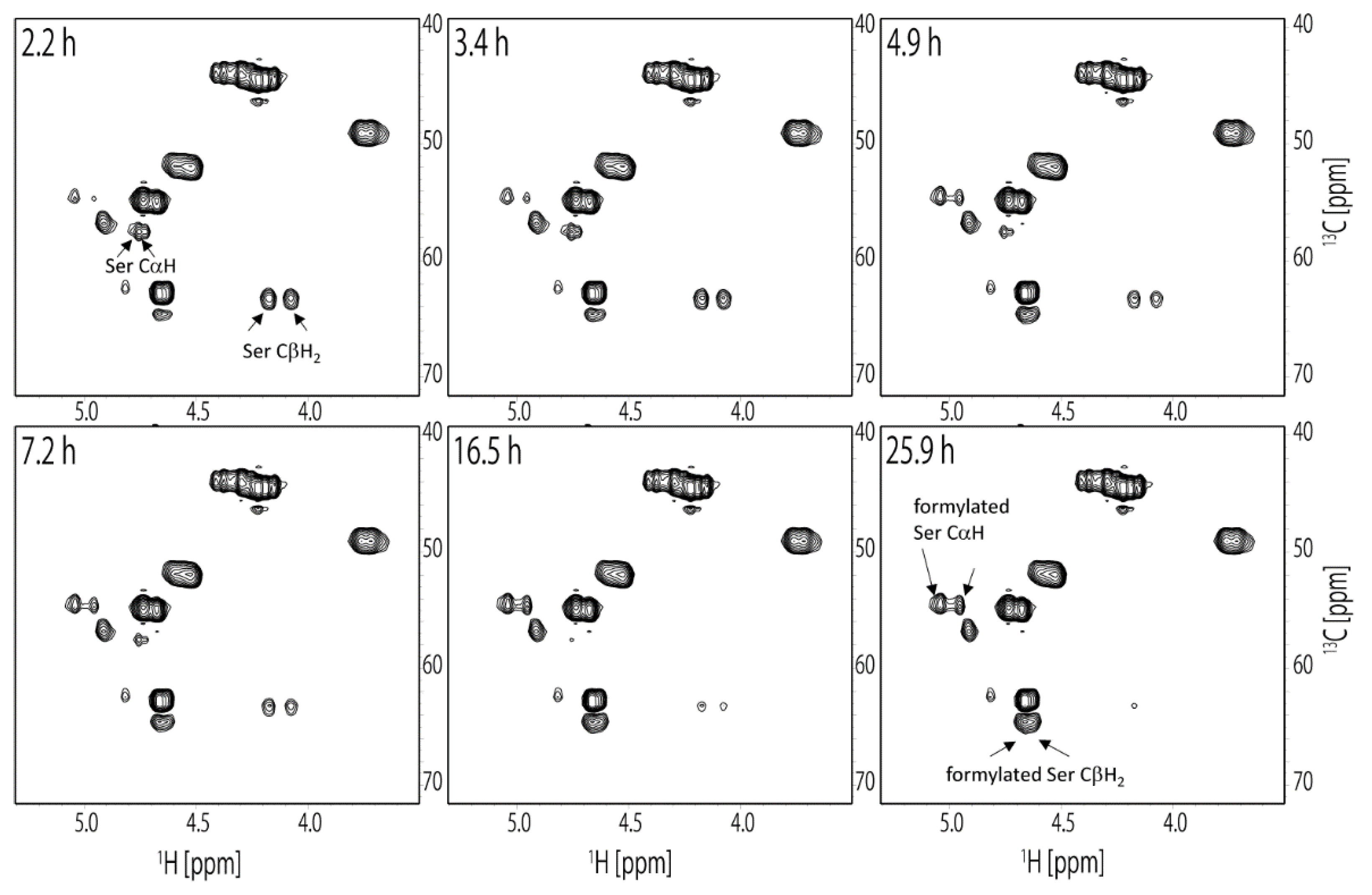 Molecules 27 00511 g006