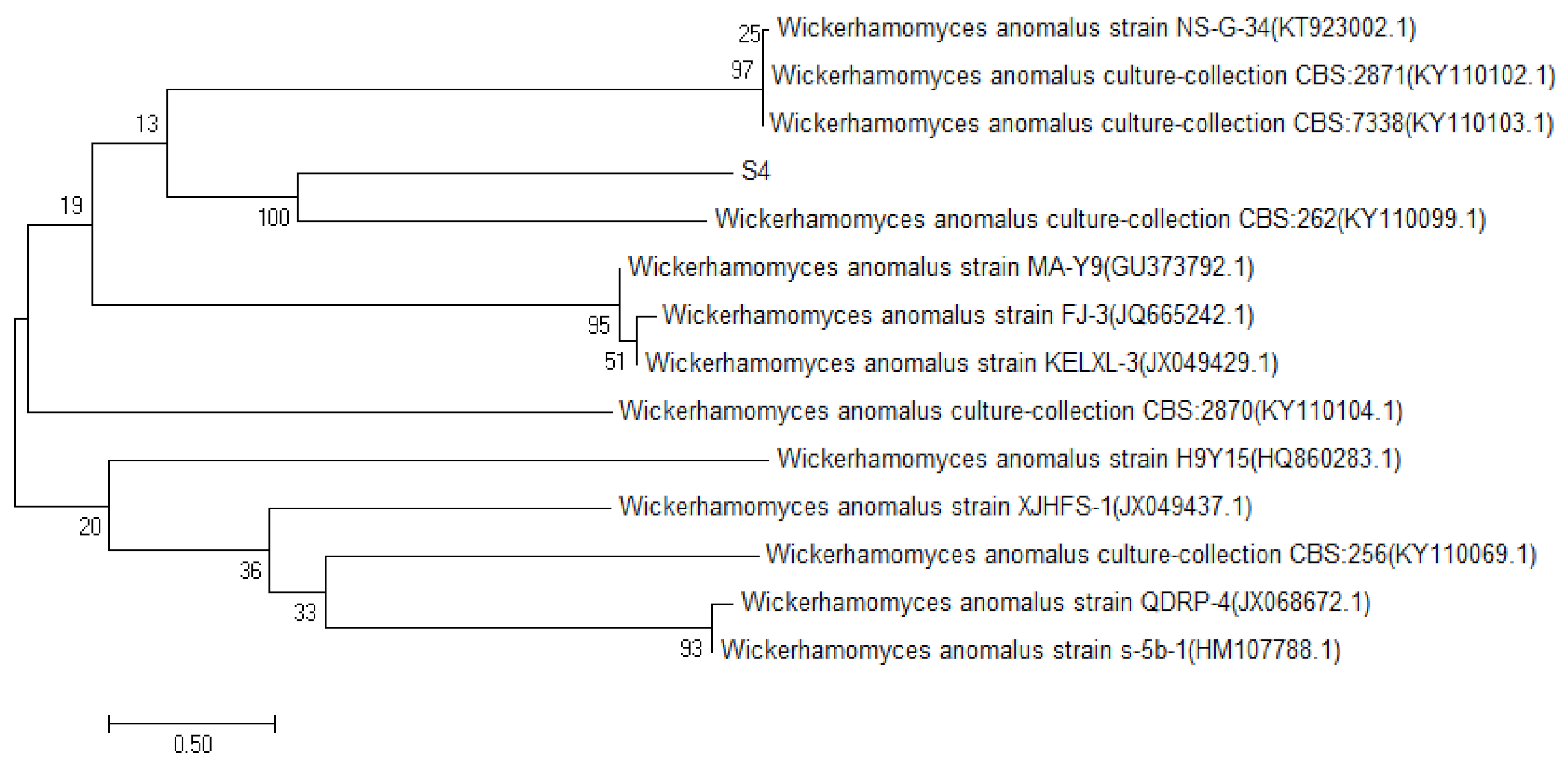 Molecules 27 00512 g003