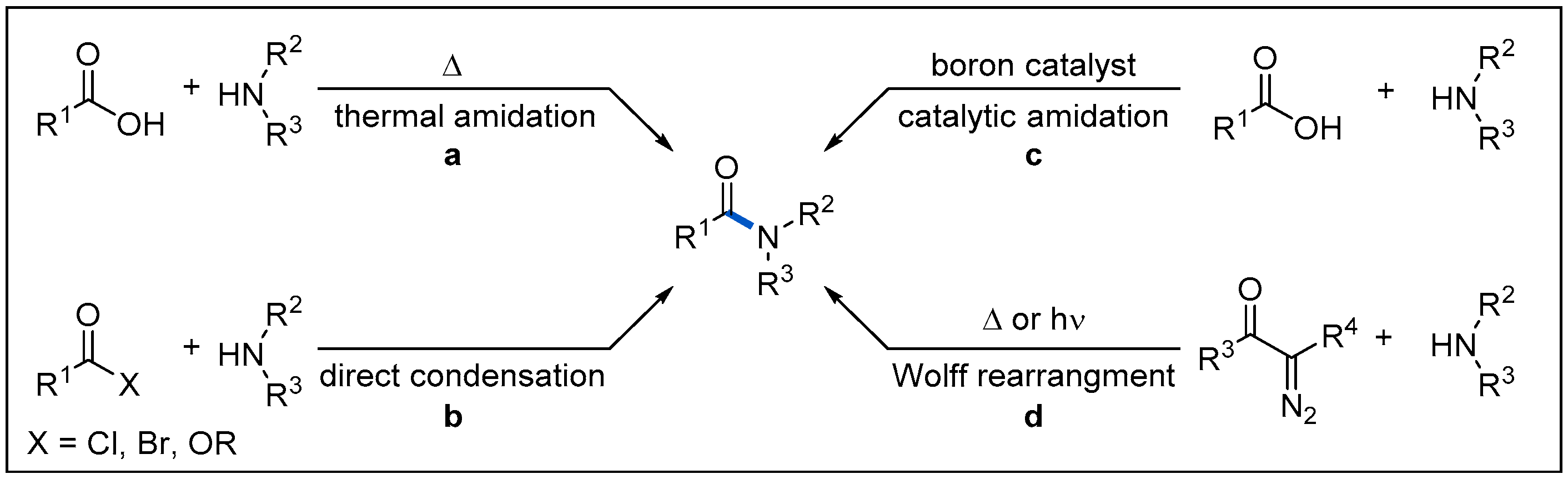 Molecules 27 00517 g001