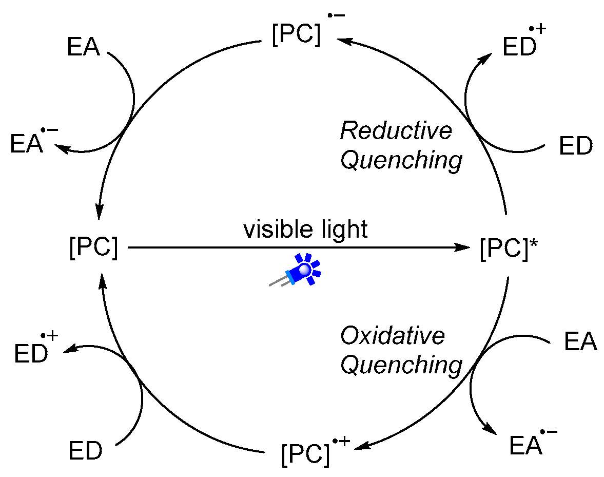 Molecules 27 00517 g003