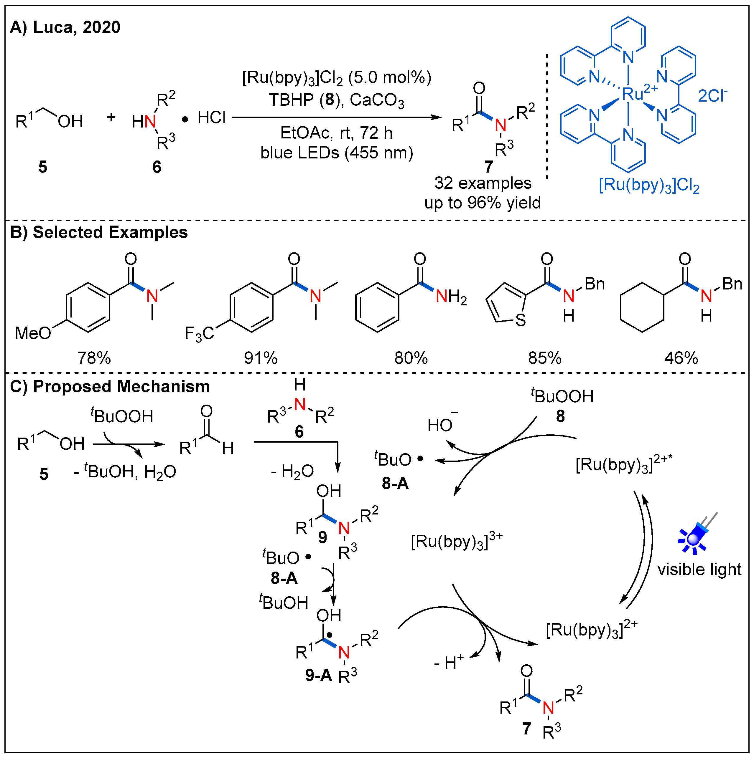 Molecules 27 00517 g005