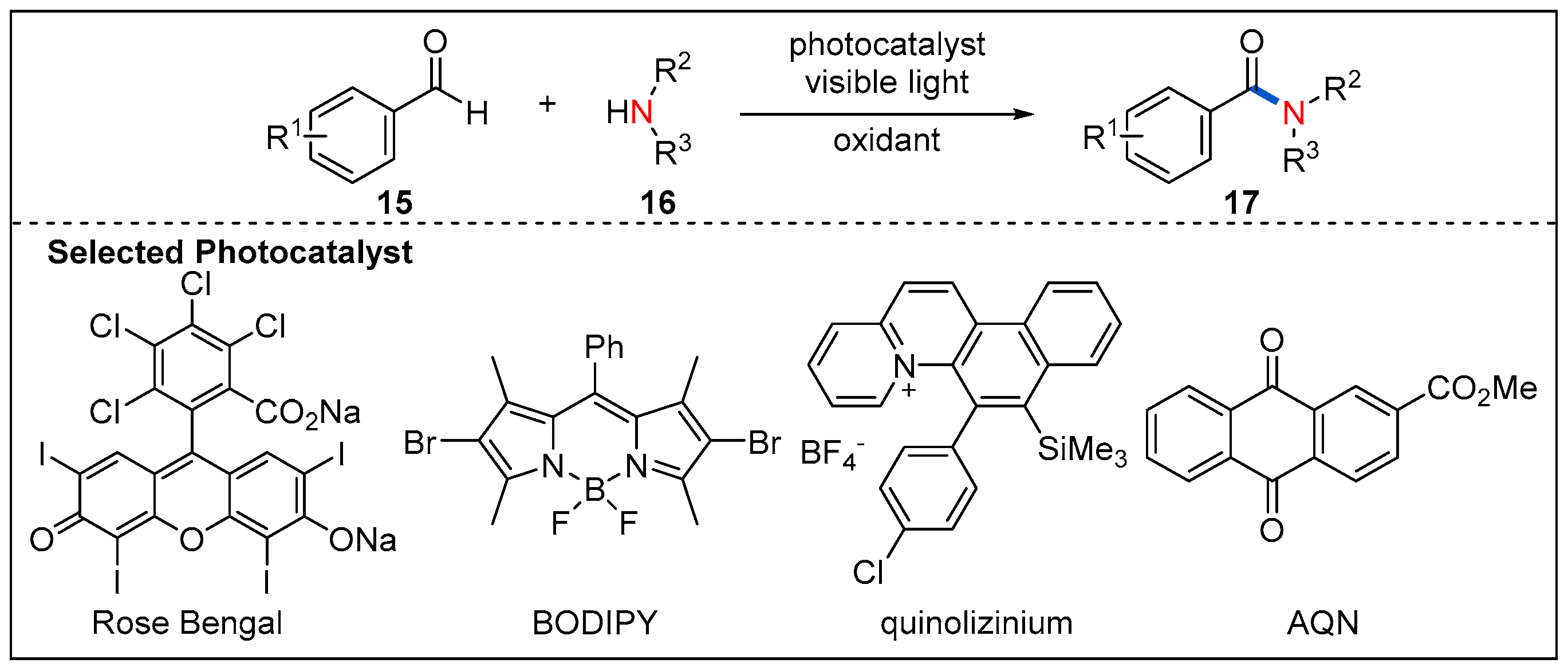 Molecules 27 00517 g008