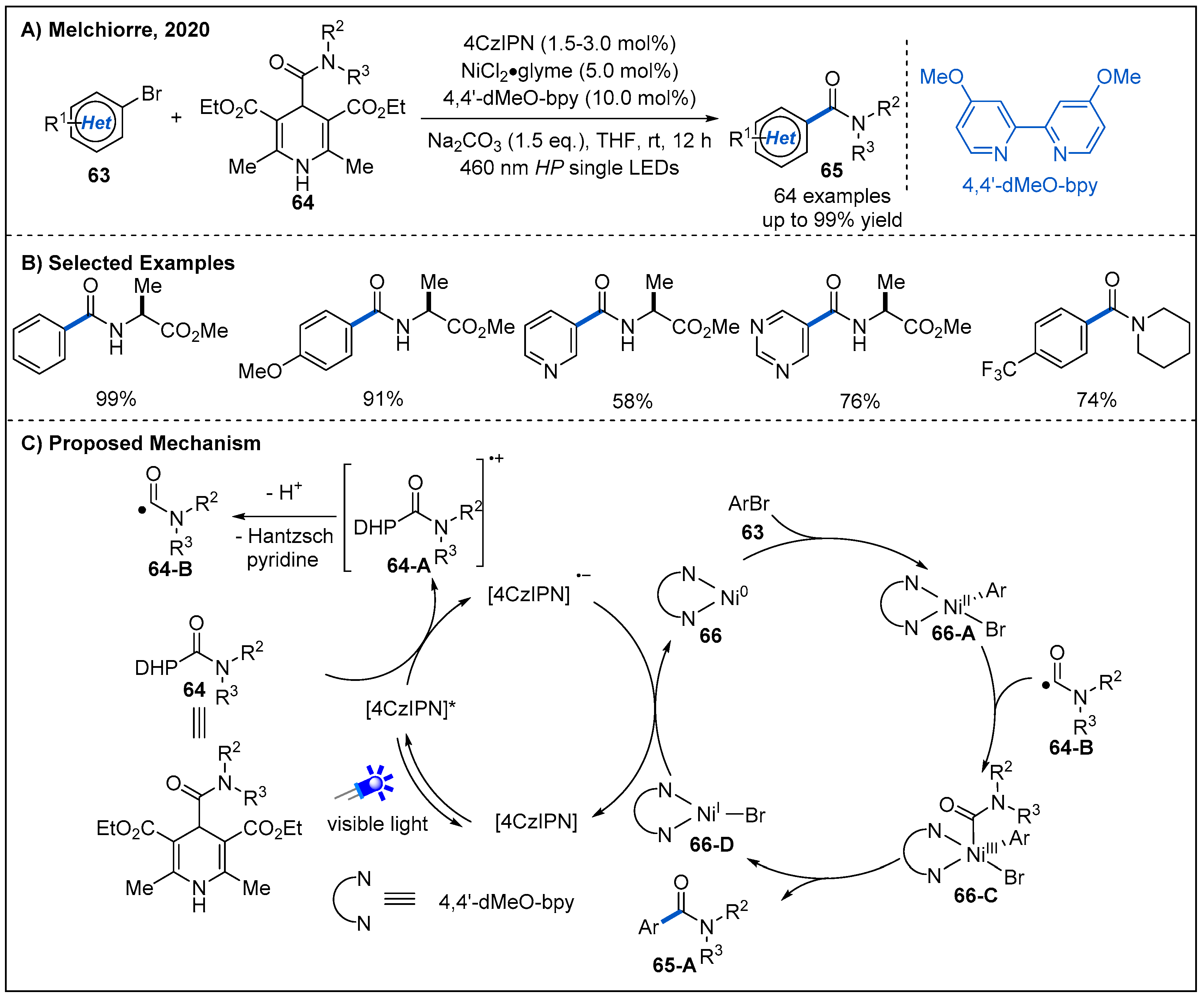Molecules 27 00517 g021