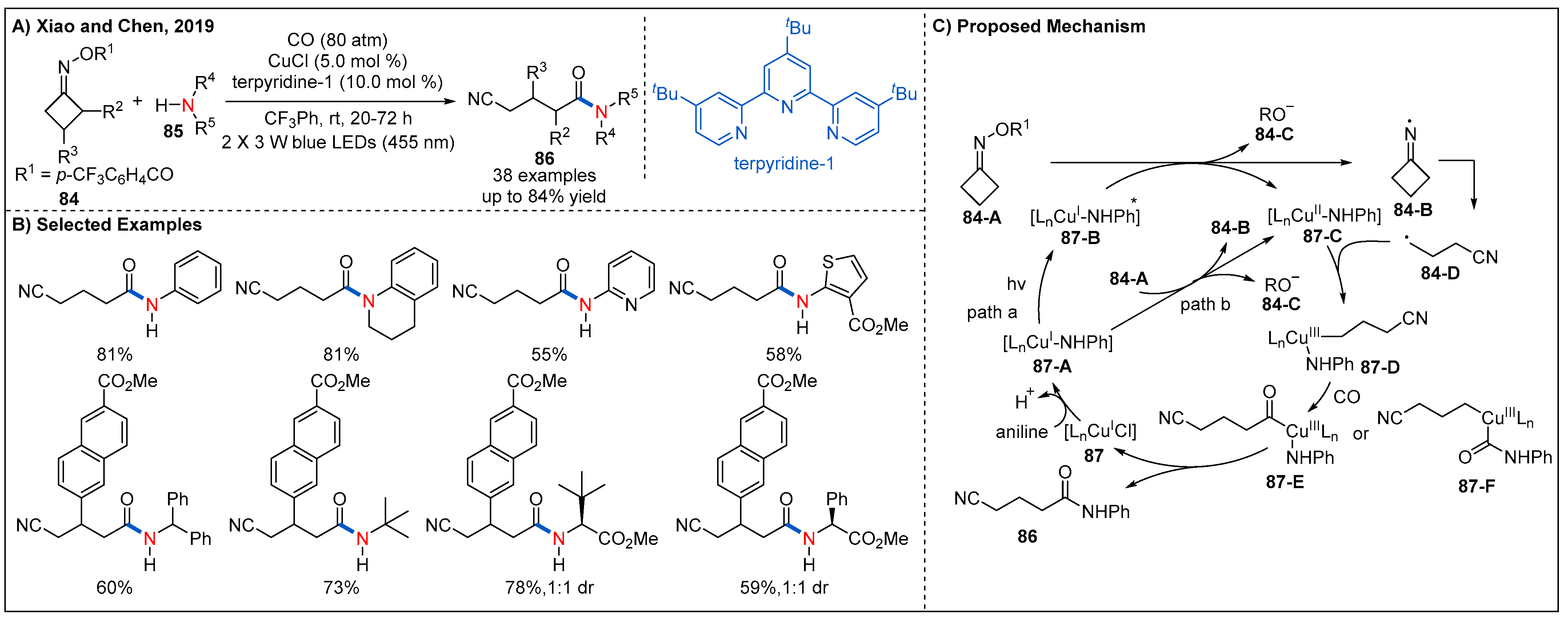 Molecules 27 00517 g027