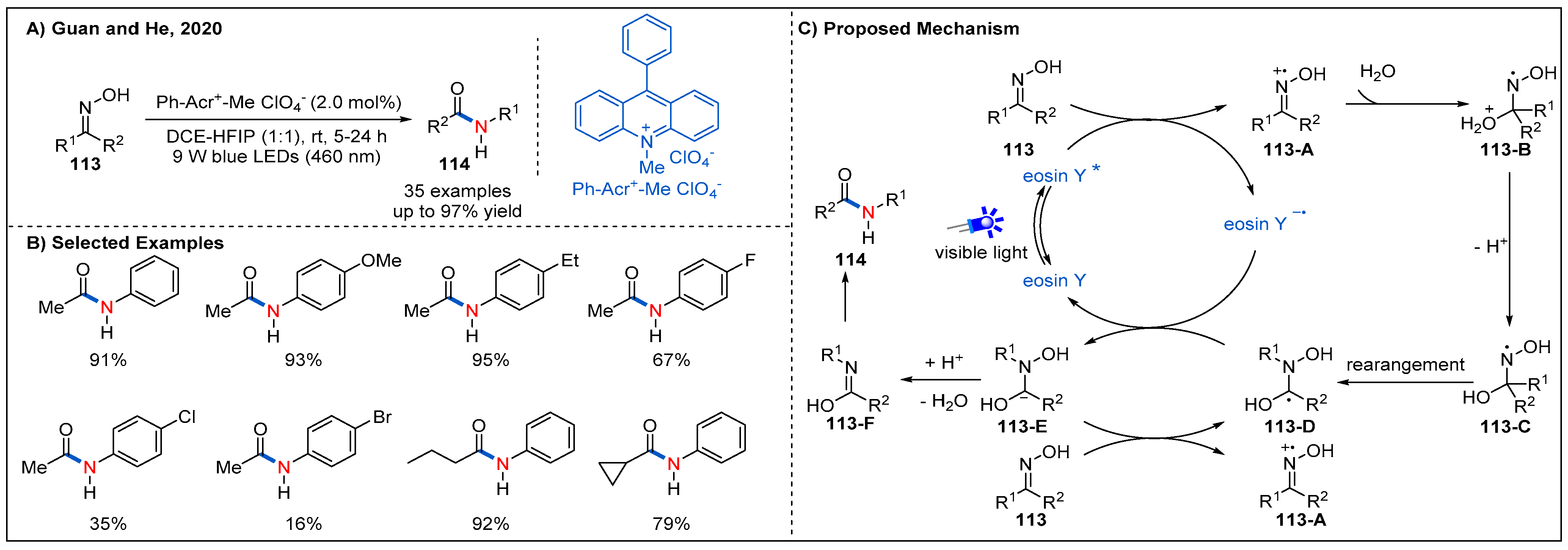 Molecules 27 00517 g034