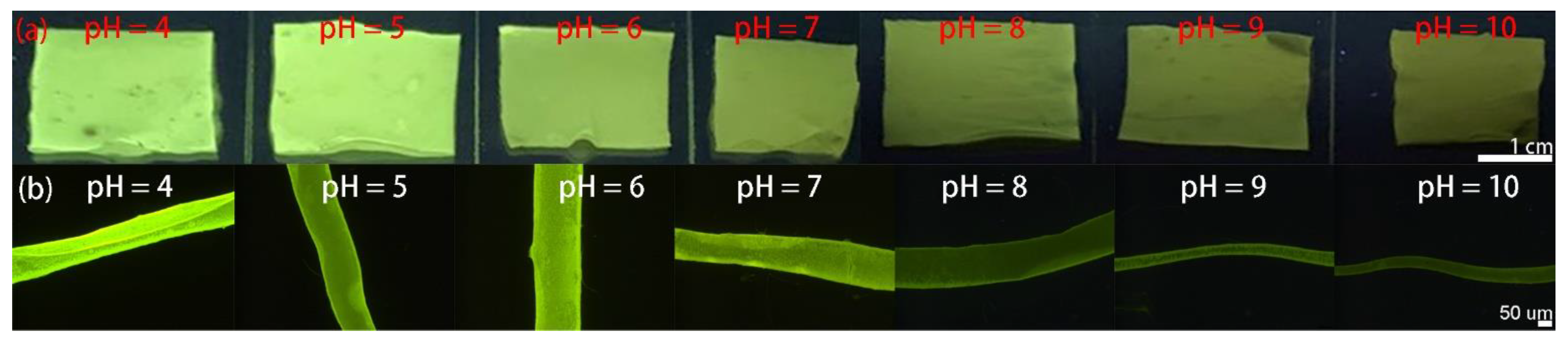 Molecules 27 00520 g005
