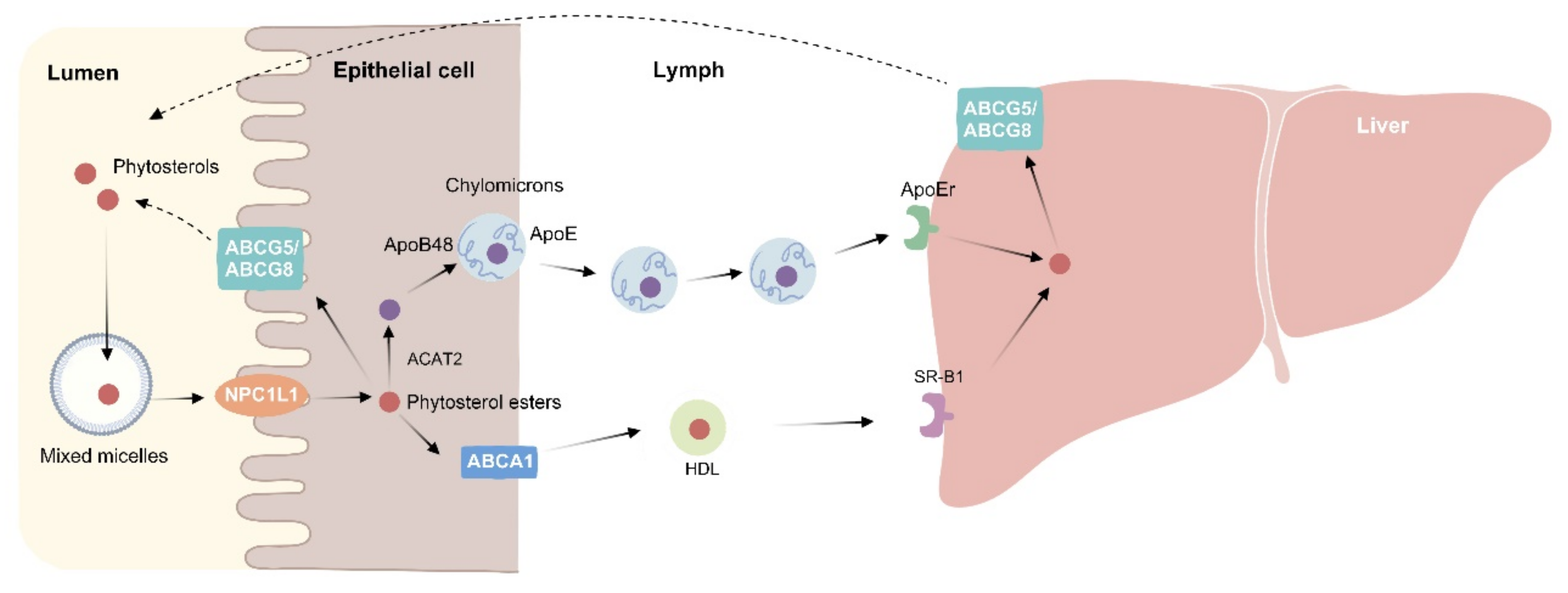 Molecules 27 00523 g002 Molecules 27 00523 g002