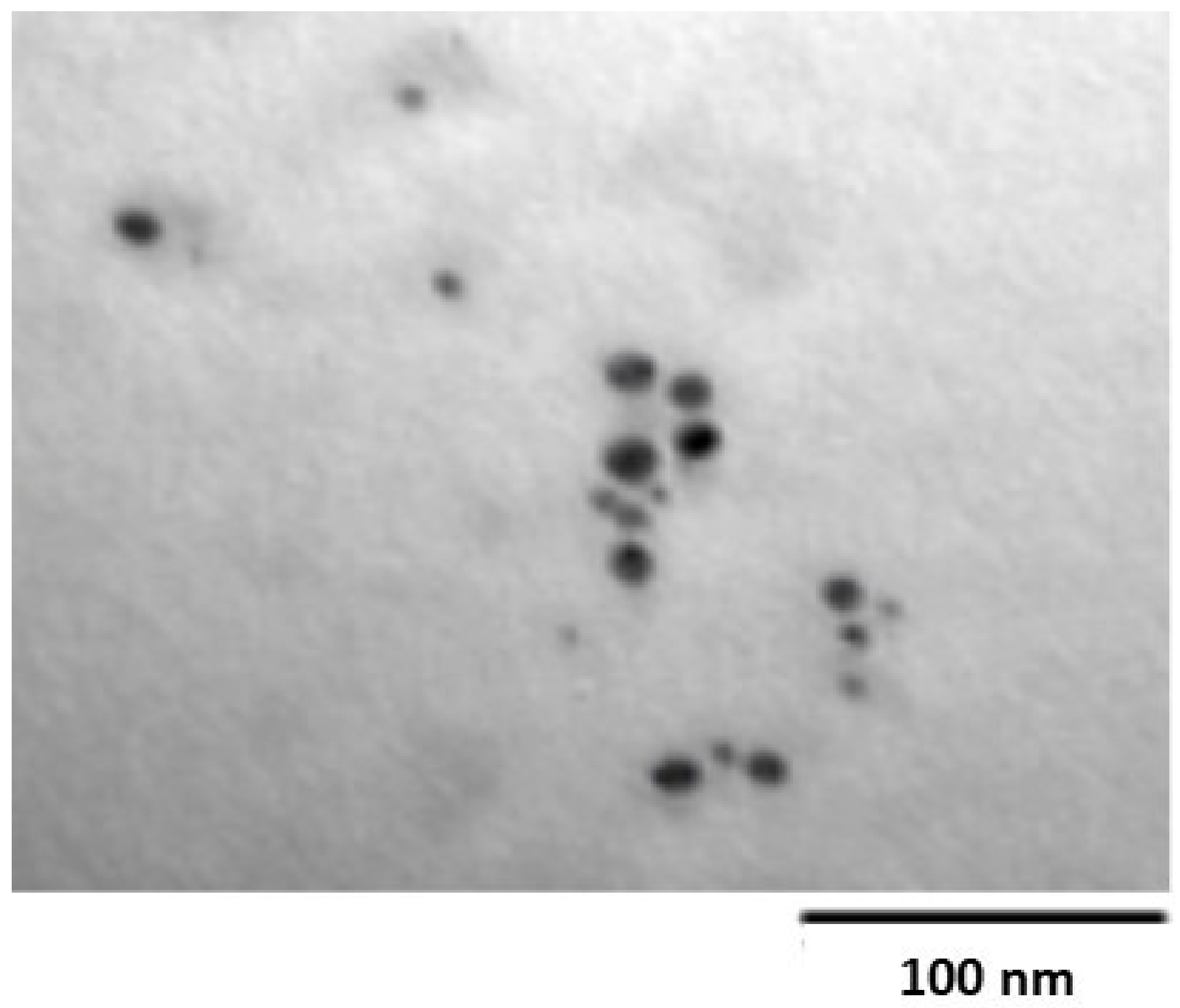Molecules 27 00528 g002