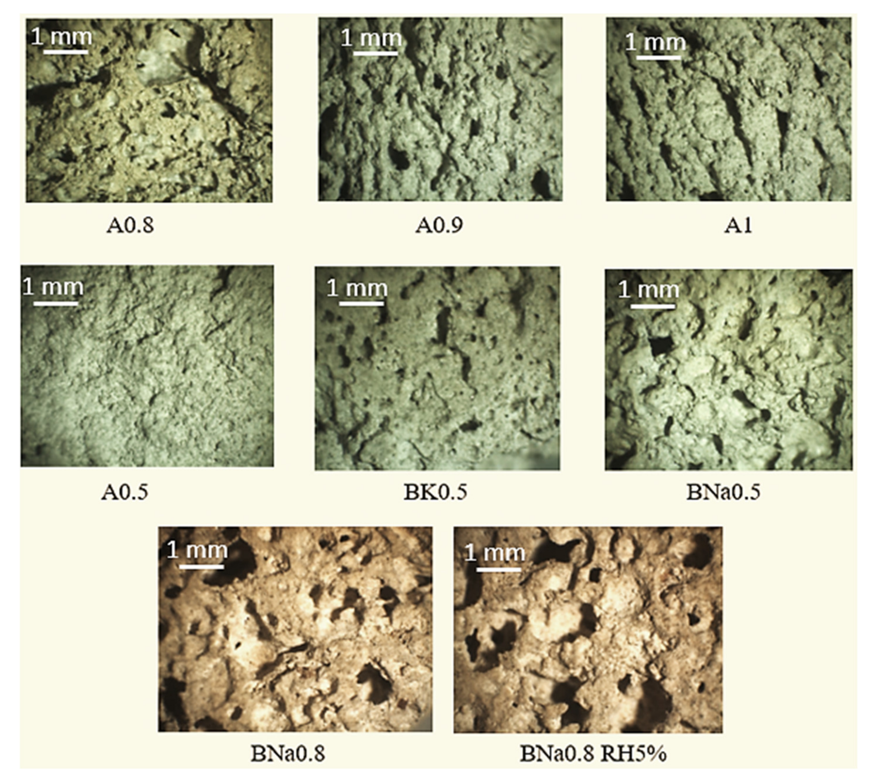 Molecules 27 00531 g008