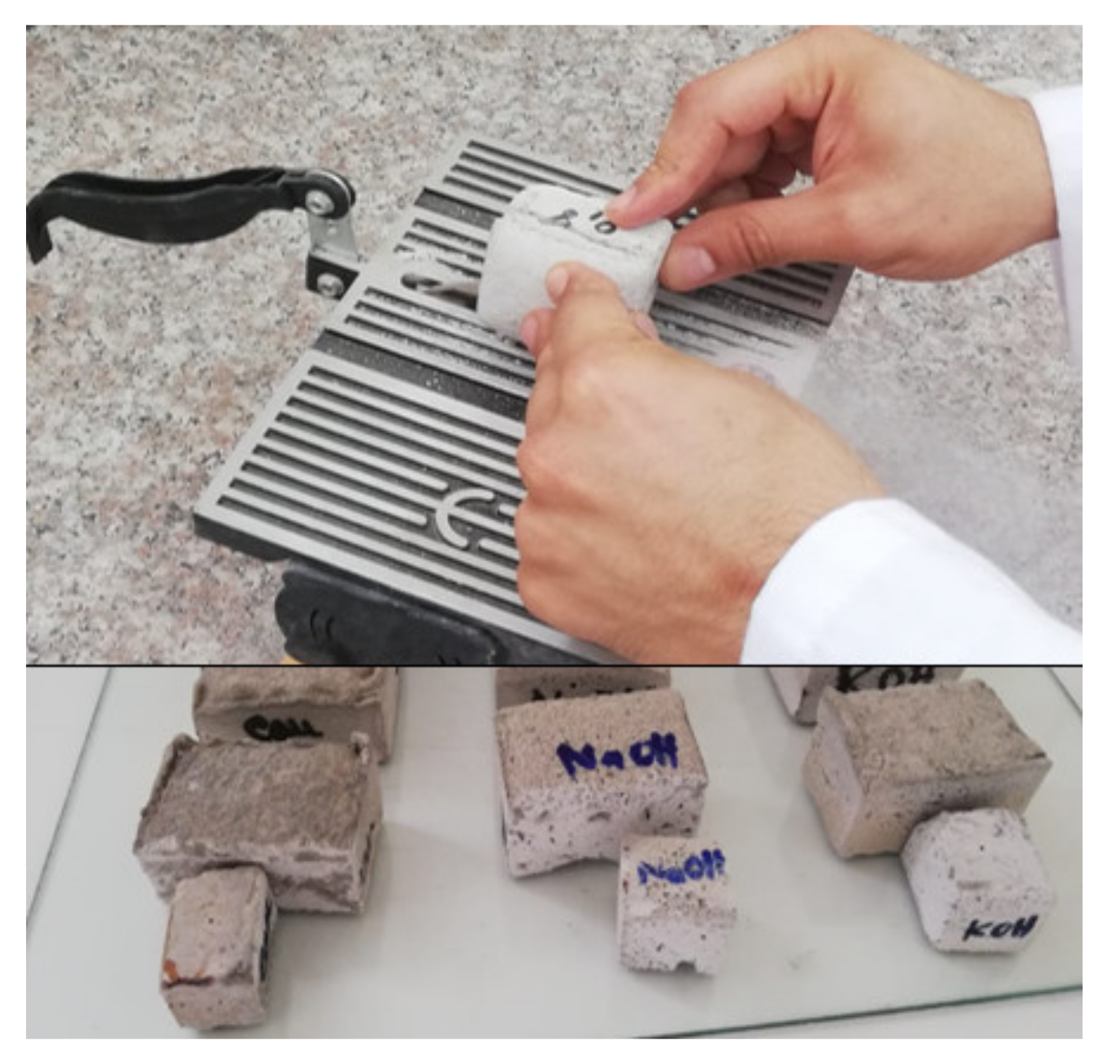 Molecules 27 00531 g011