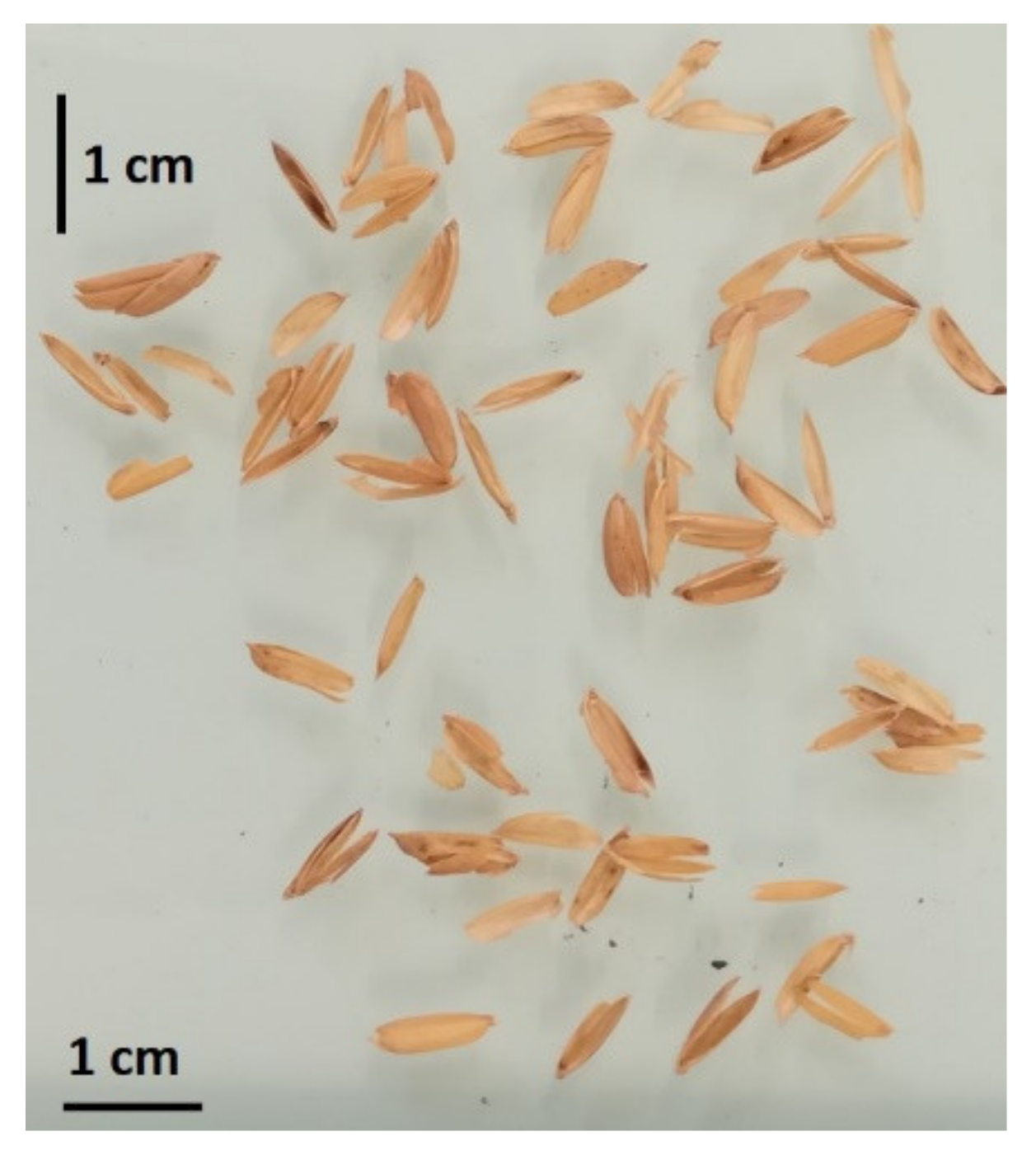 Molecules 27 00531 g012