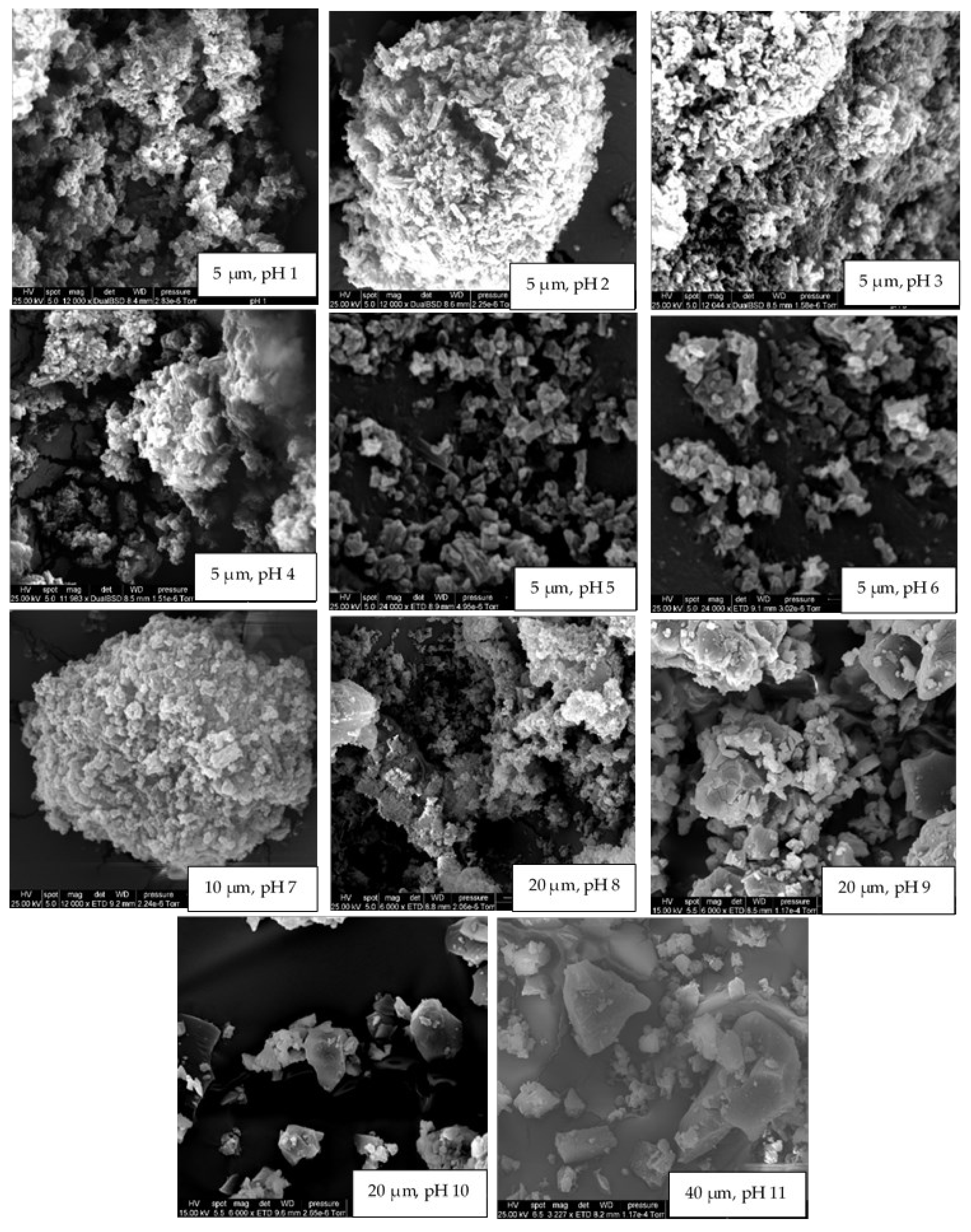 Molecules 27 00534 g003