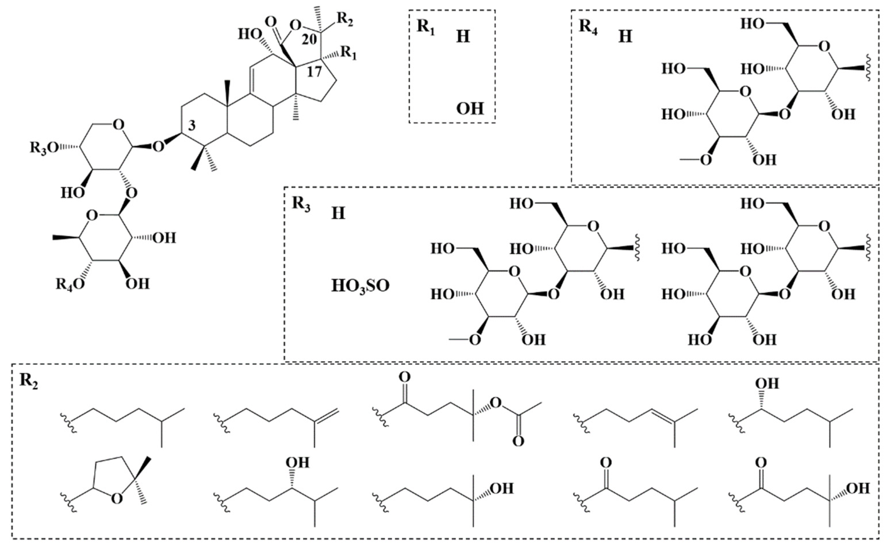Molecules 27 00537 g001