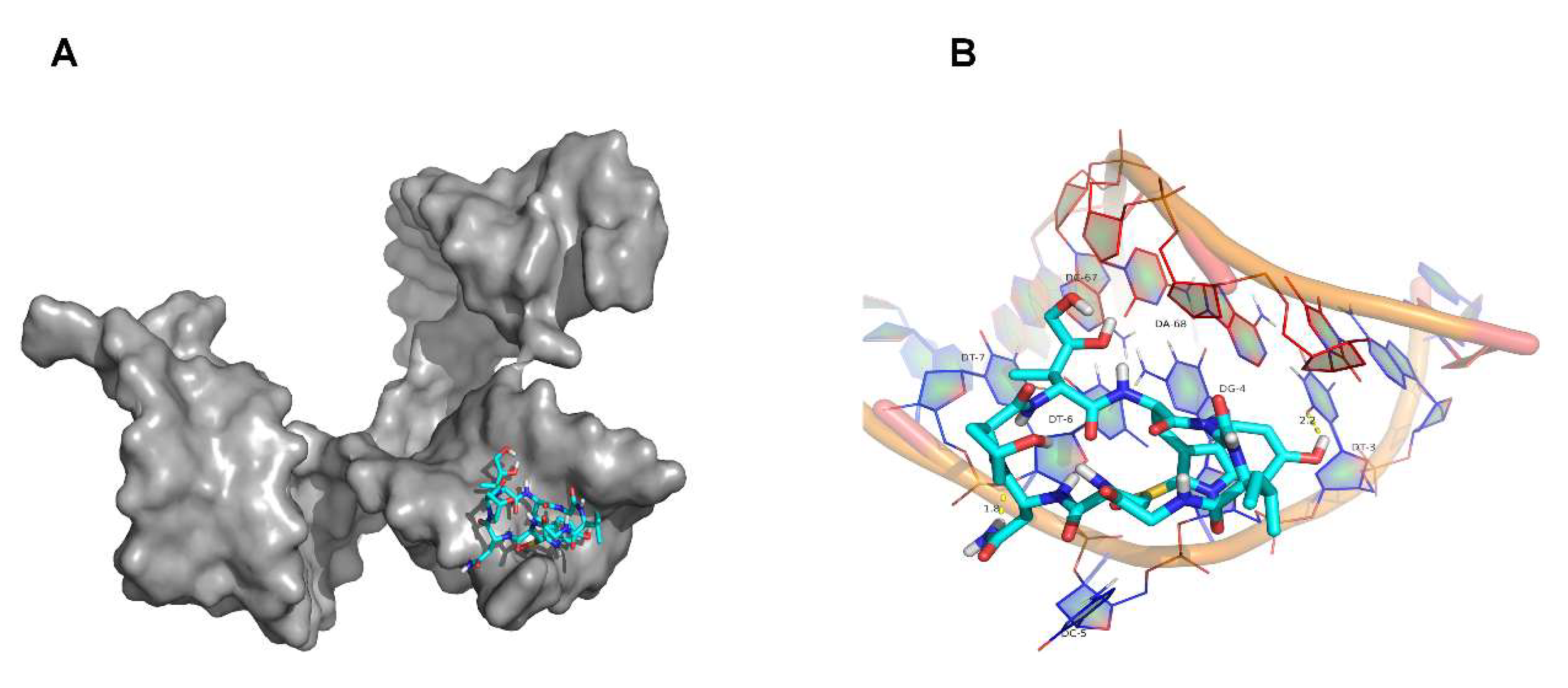 Molecules 27 00538 g004