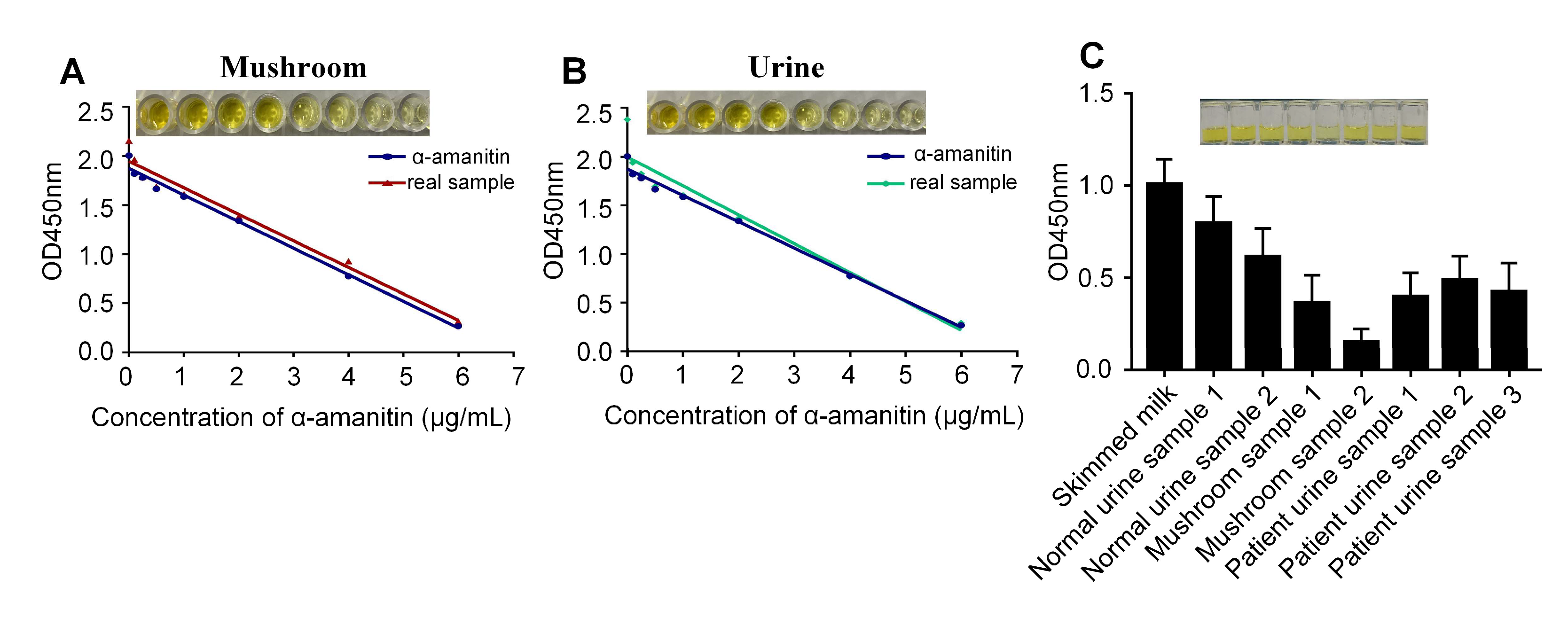 Molecules 27 00538 g006